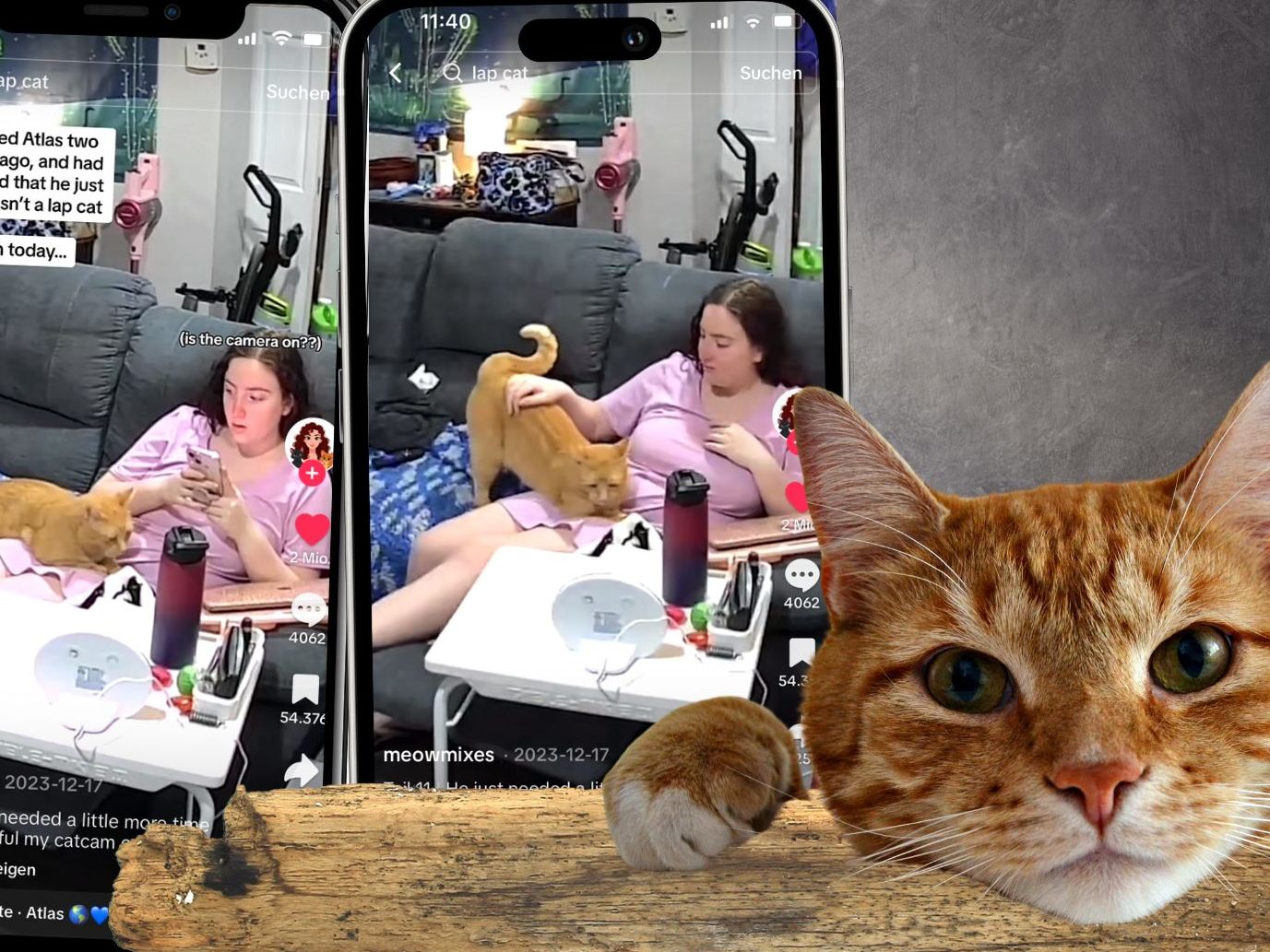 In einem herzerwärmenden Video, das die besondere Beziehung zwischen einer Frau und ihrer einst distanzierten Katze zeigt, erleben wir einen seltenen Moment tierischer Zuneigung.