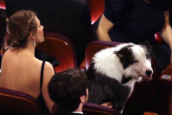 <p>AWARDS-OSCARS/</p>
