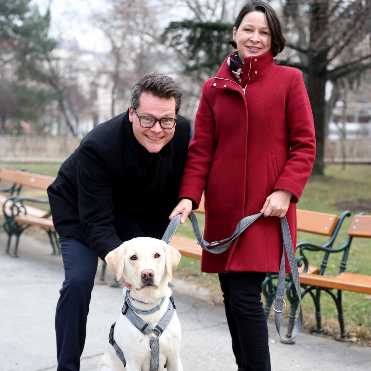 Stadt Wien bietet das "Gratis-Registrieren" von Hunden an.