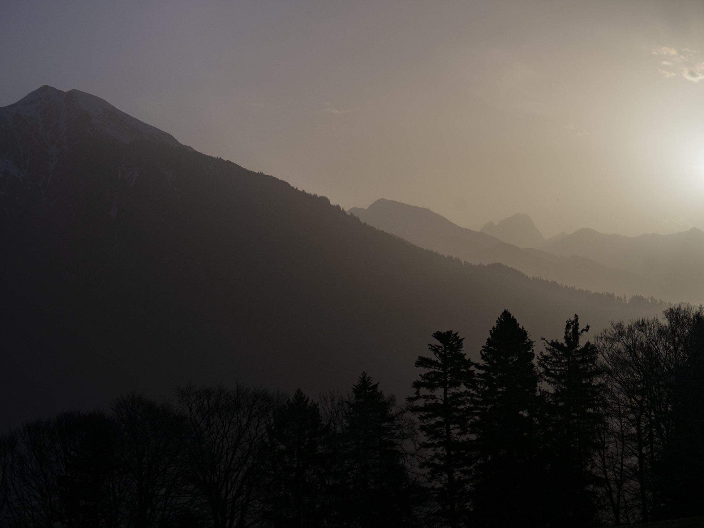 Bis zu 1.200 Milligramm pro Quadratmeter - Auch andere Staaten Mitteleuropas stark betroffen