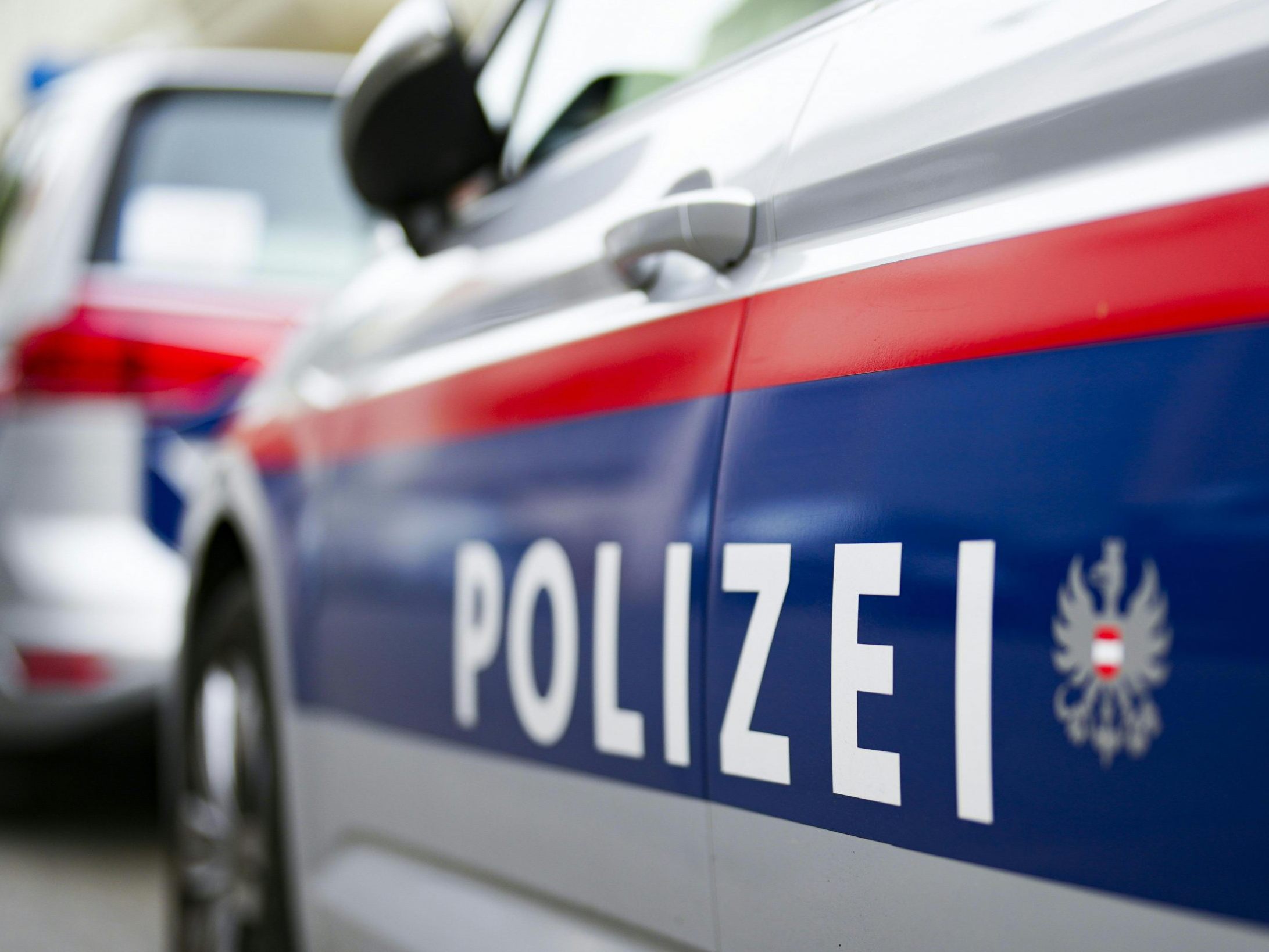 Die Wiener Polizei schnappte zwei Jugendliche. Die Wiener Polizei schnappte zwei Jugendliche.
