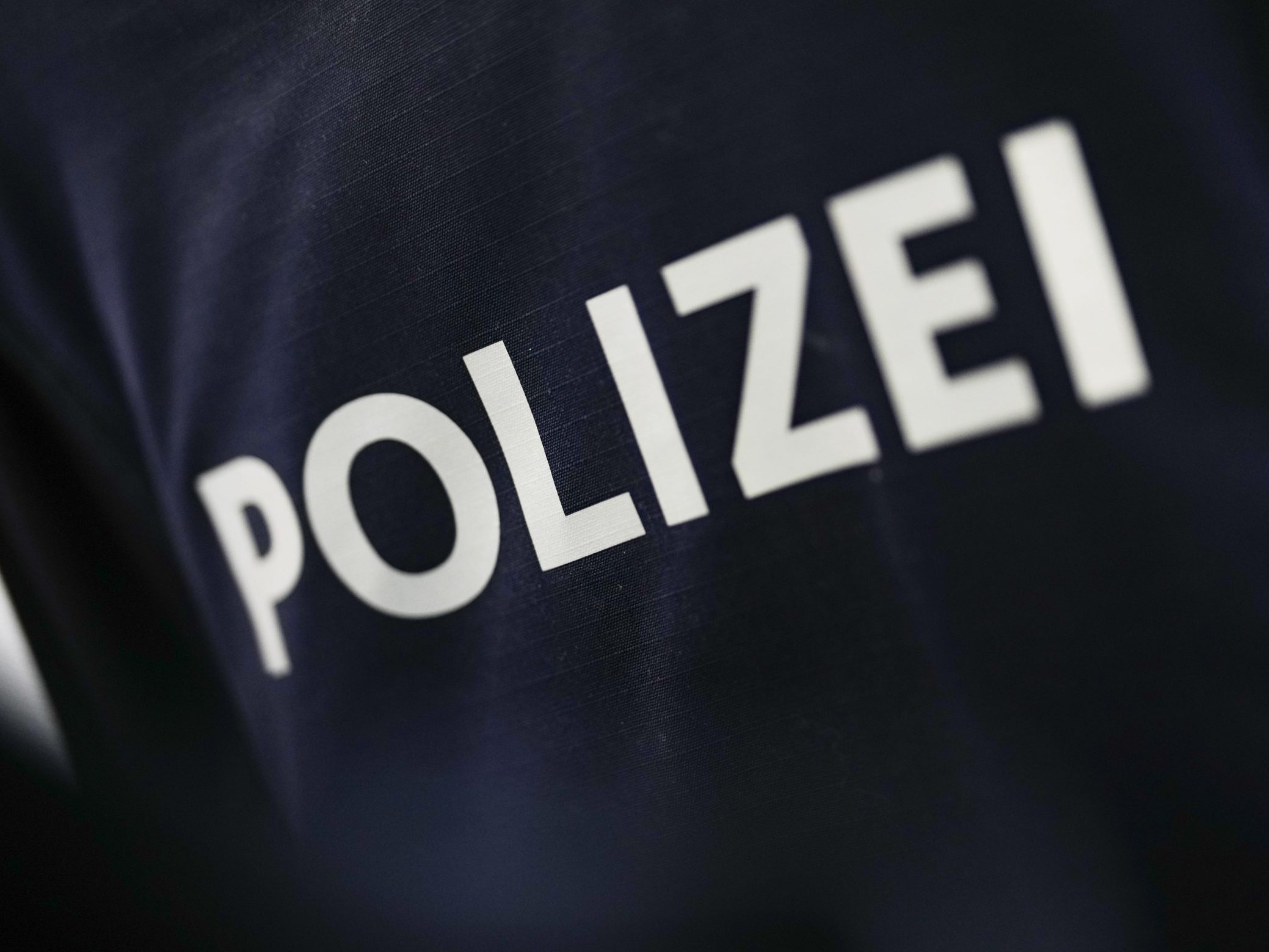 Die Polizei schnappte zwei PKW-Einbrecher.