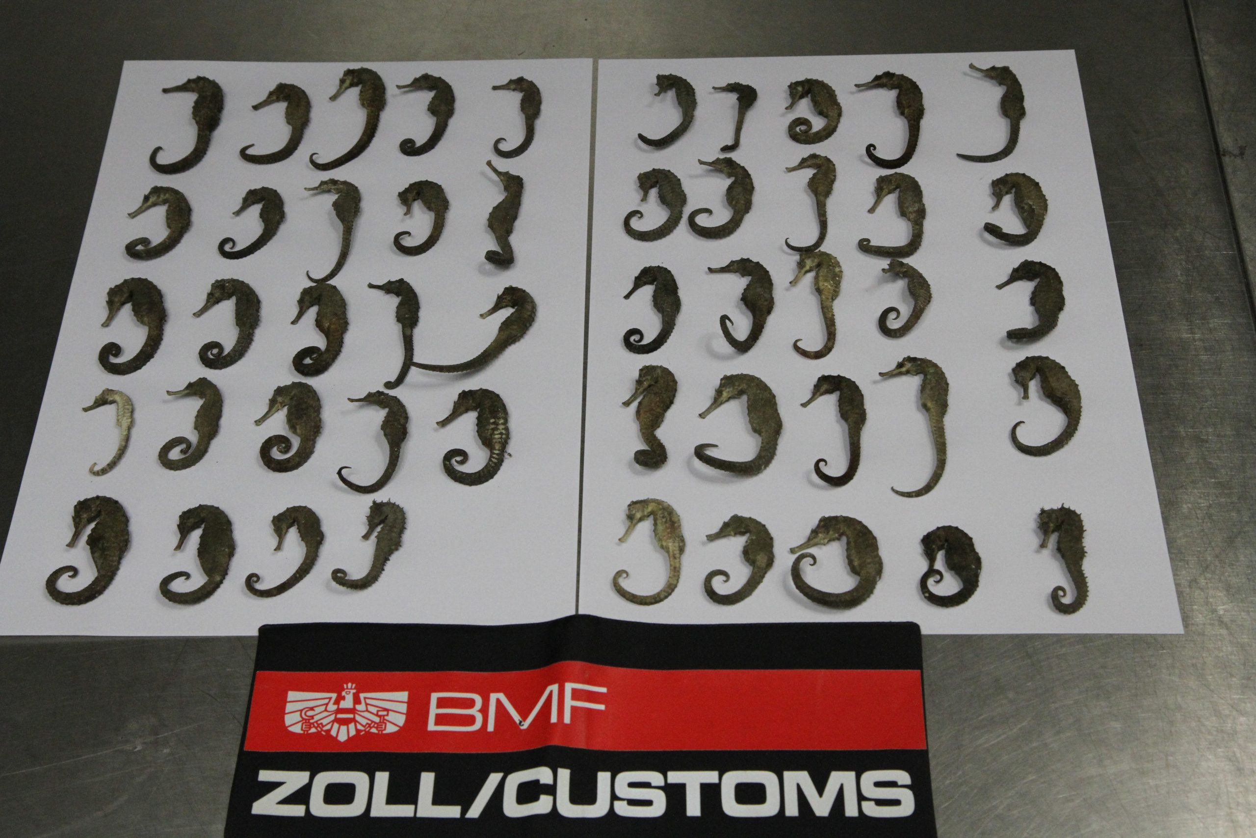 "Es gibt nichts, was es nicht gibt" "Es gibt nichts, was es nicht gibt"