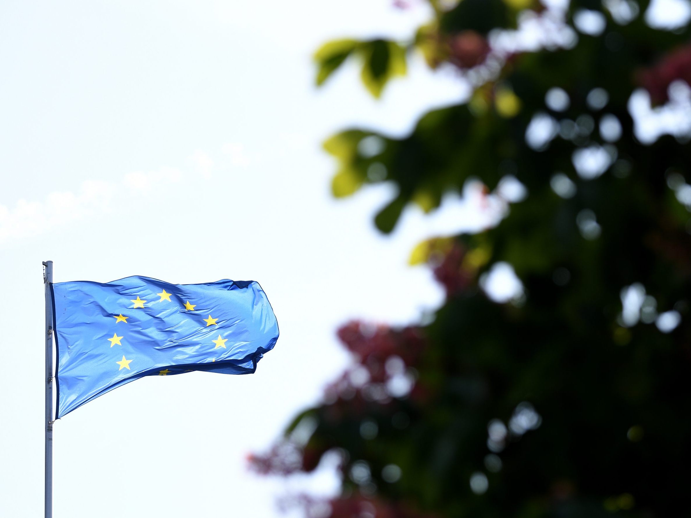 Die EU-Wahl rückt näher. Die EU-Wahl rückt näher.