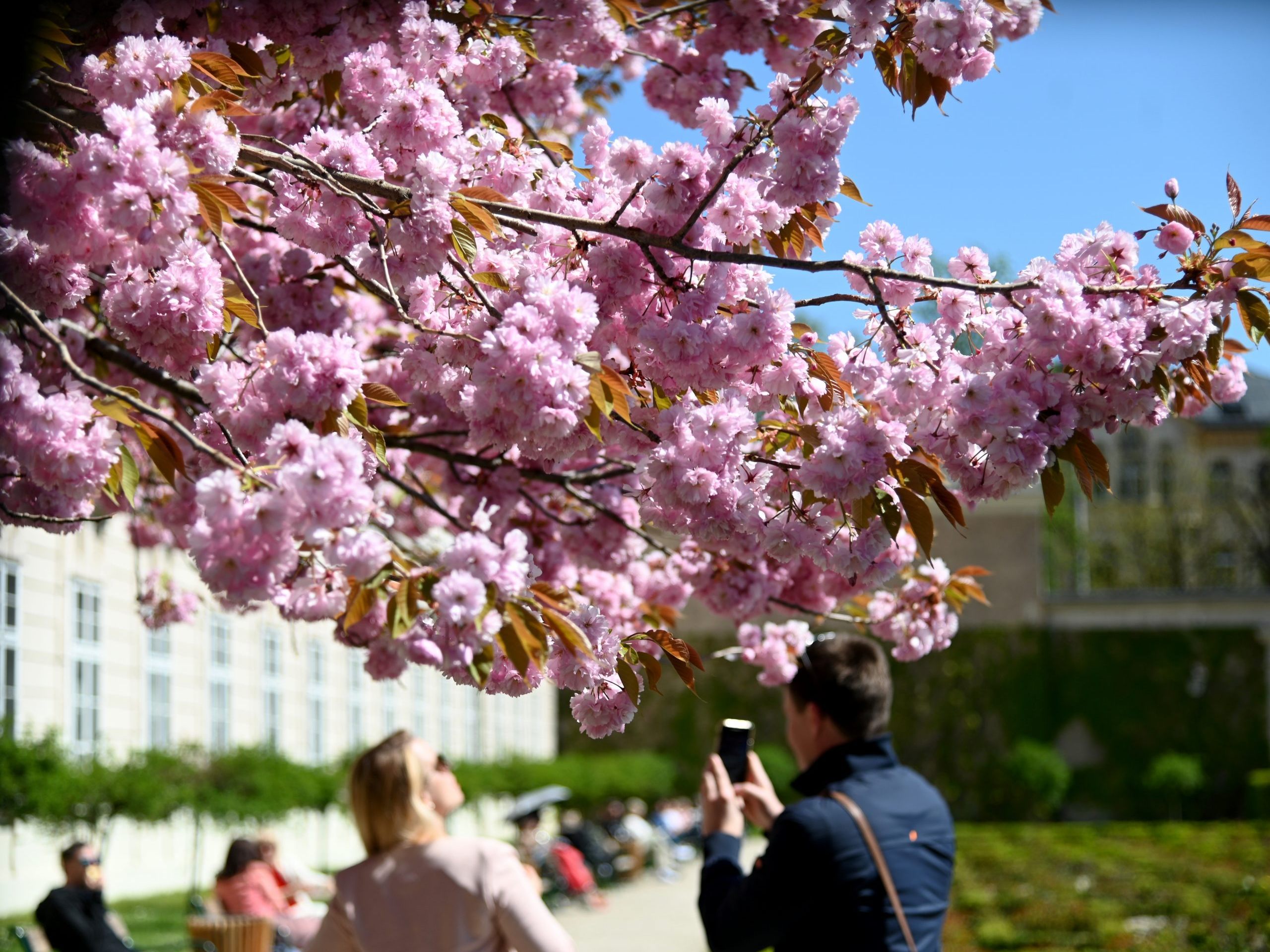 So wird das Wetter in der kommenden Woche.