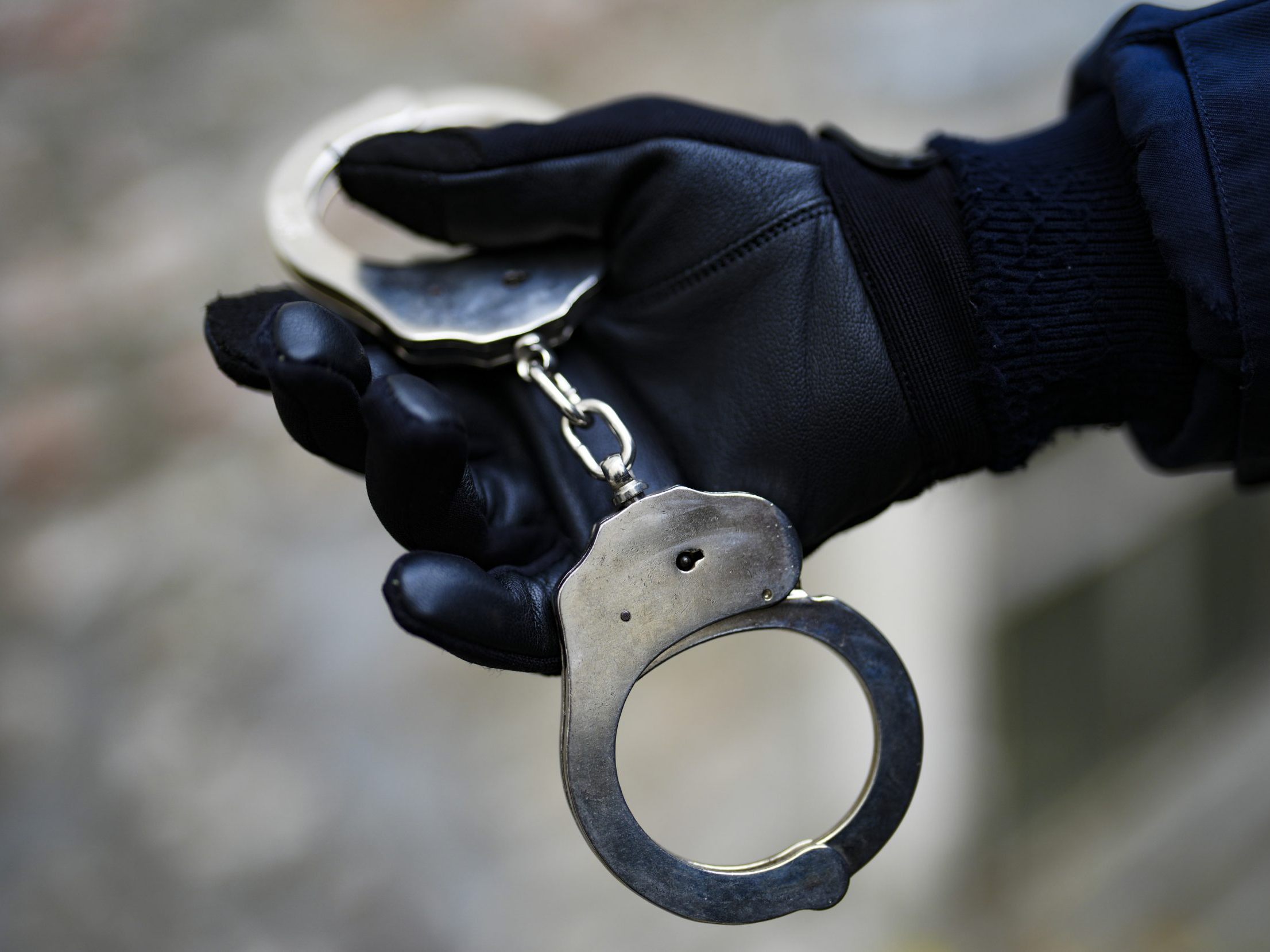 Die Wiener Polizei konnte zwei mutmaßliche Einbrecher fassen.