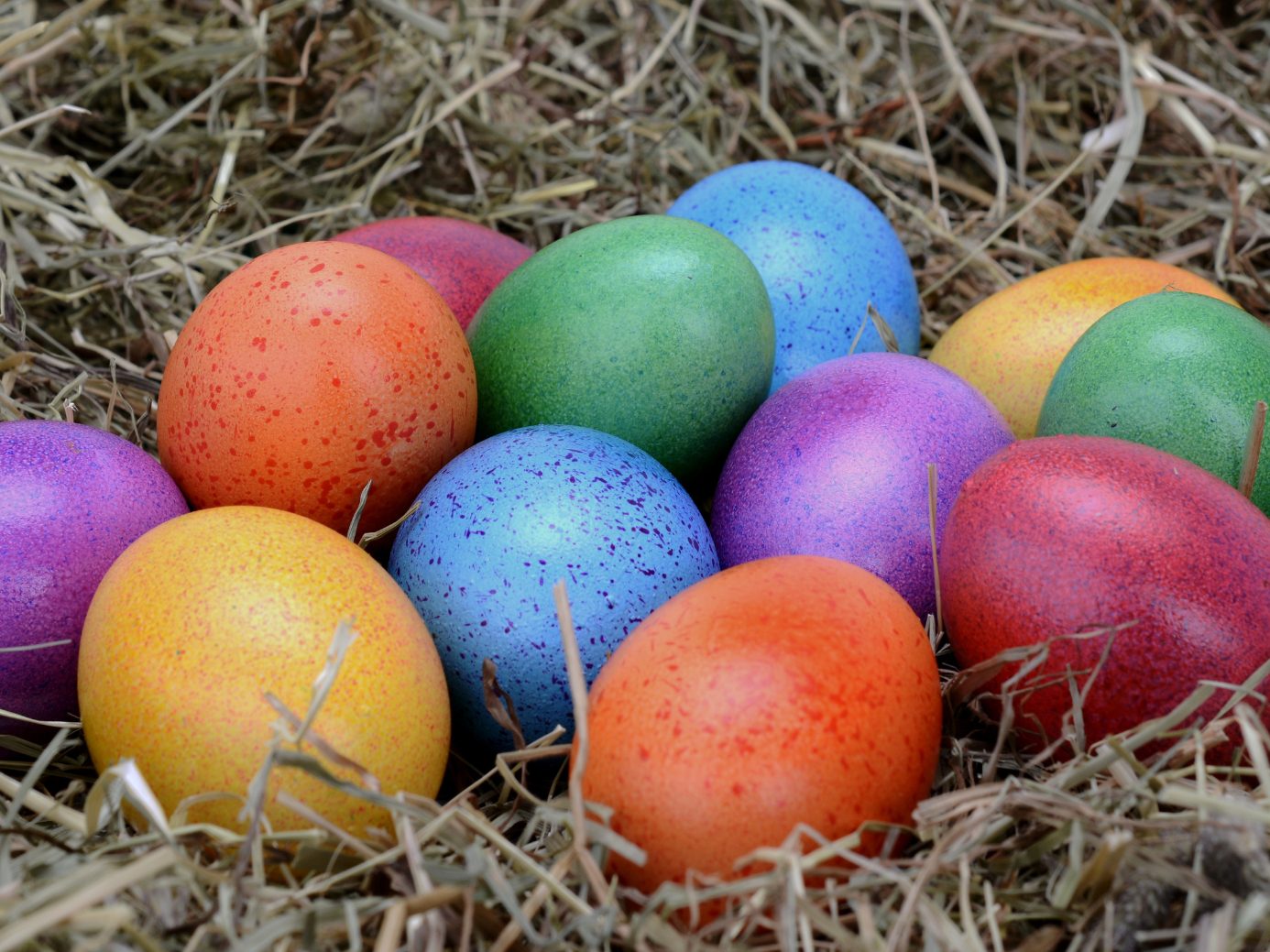 So werden Ostereier-Schalen richtig entsorgt.