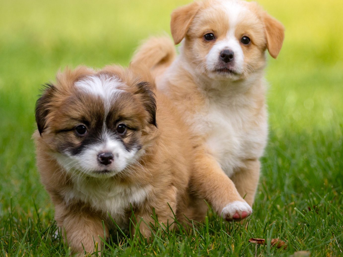 Das steckt hinter dem Phänomen "Cute Aggressions". Das steckt hinter dem Phänomen "Cute Aggressions".