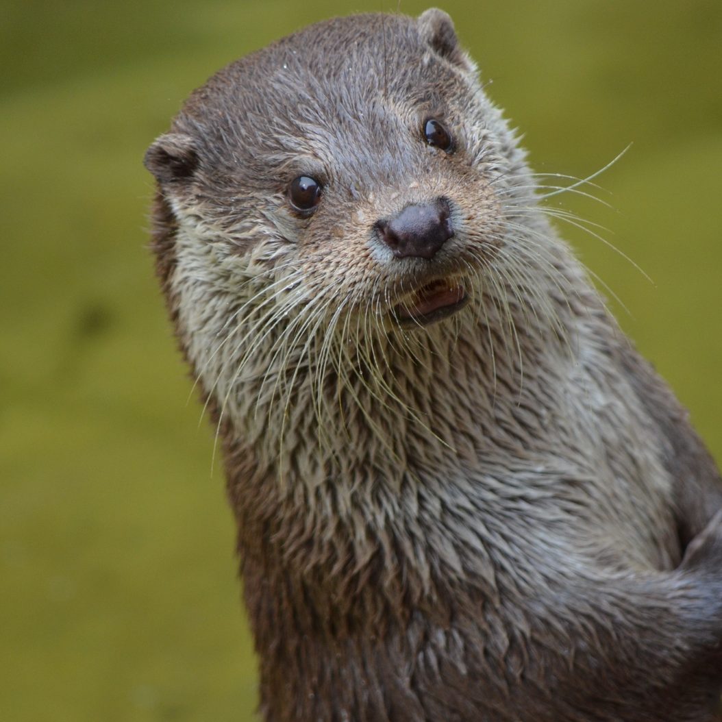 Rechtliche Schritte sollen geprüft werden.