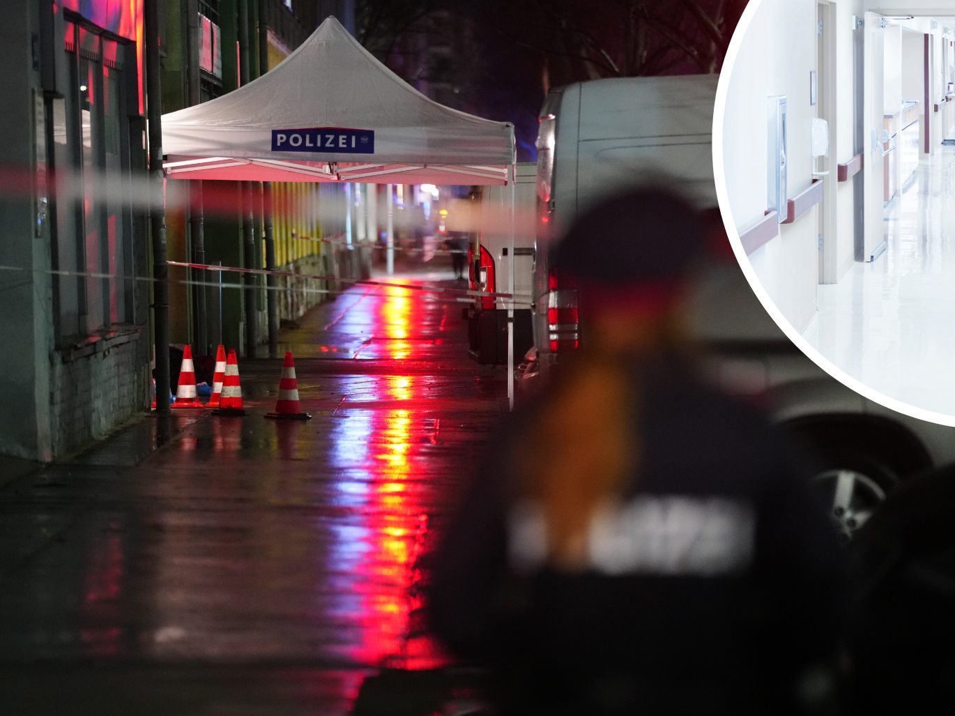 Der Verdächtige soll nun auch eine Wiener Ärztin attackiert haben. Der Verdächtige soll nun auch eine Wiener Ärztin attackiert haben.