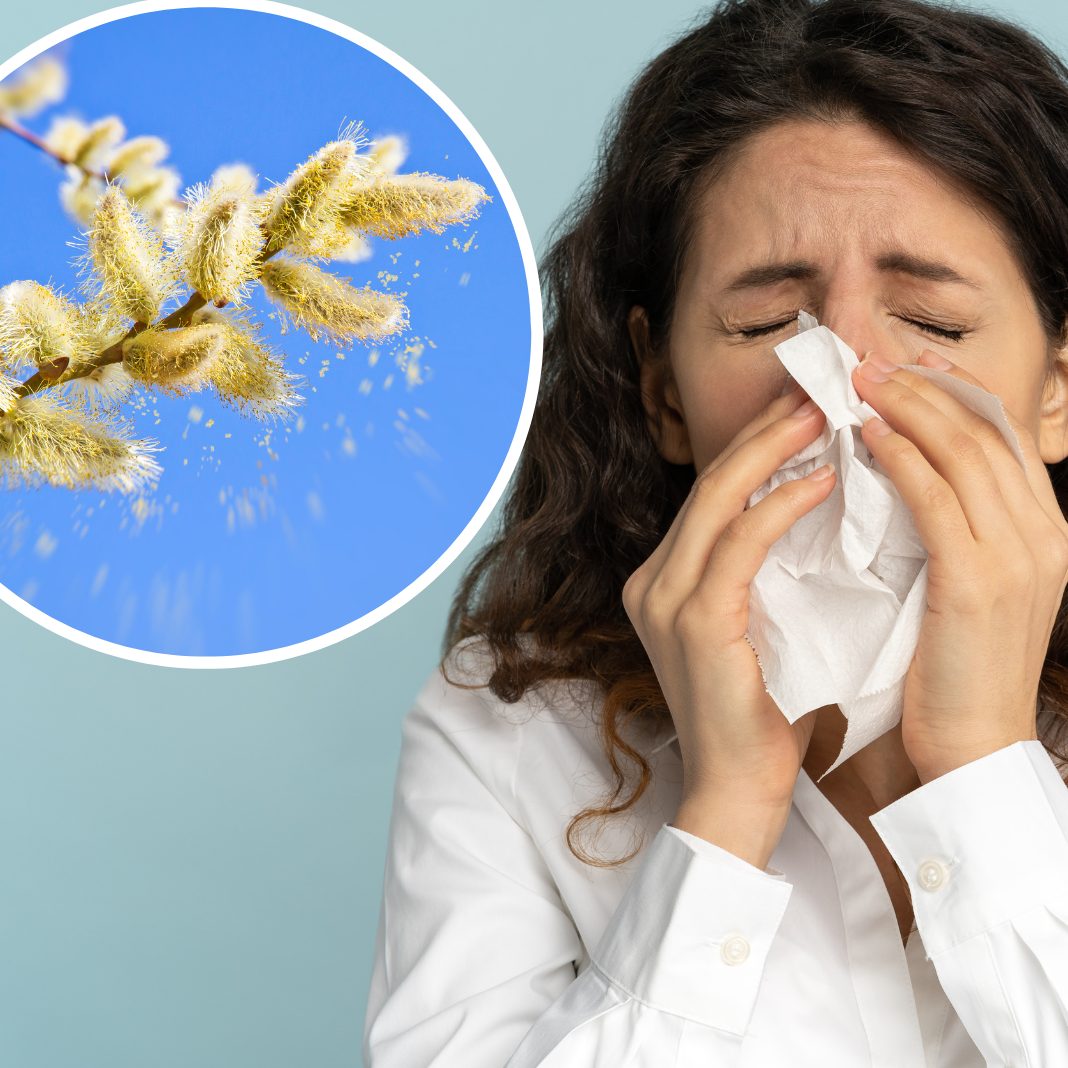 Die globale Erwärmung und eingeschleppte Pflanzen verlängern die Allergiesaison.