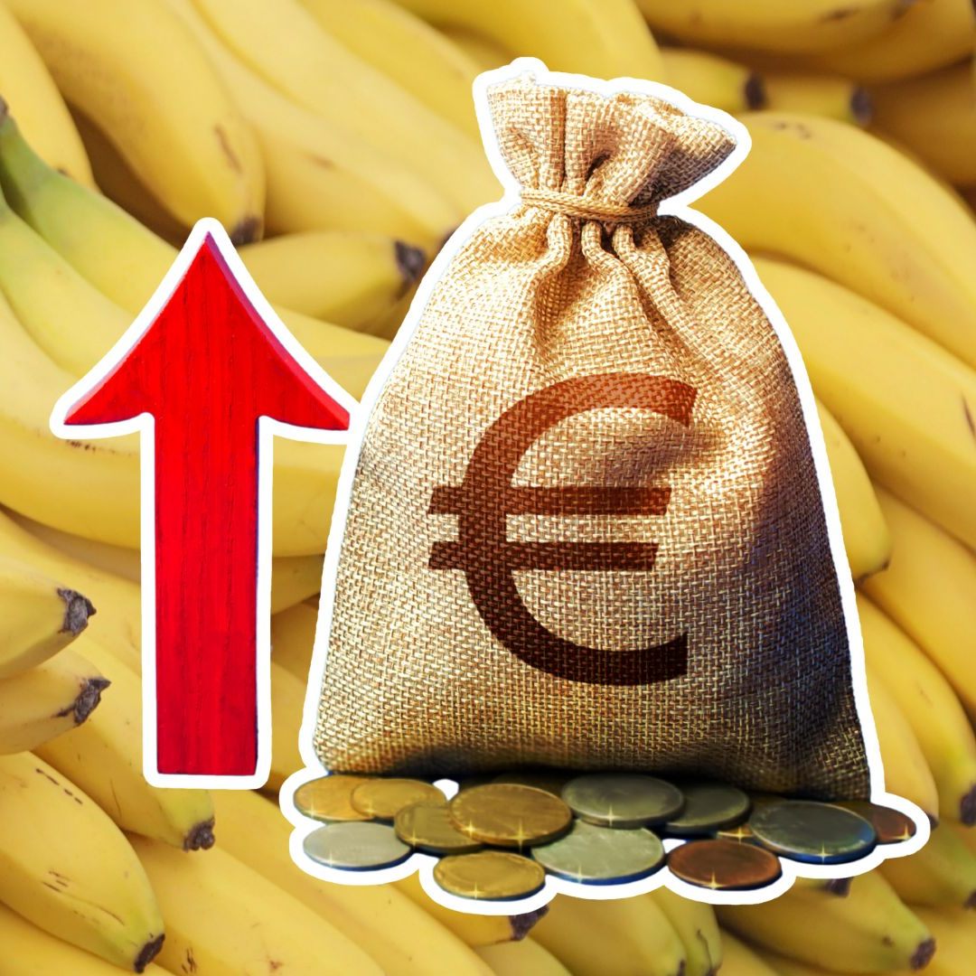 Bananenpreise werden bei steigenden Temperaturen weiter in die Höhe klettern.