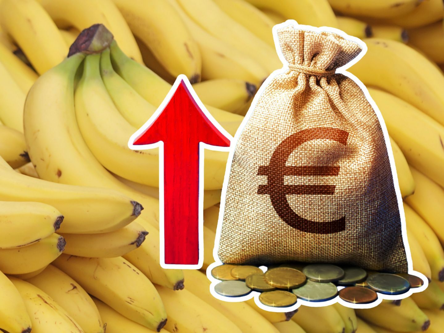 Bananenpreise werden bei steigenden Temperaturen weiter in die Höhe klettern.