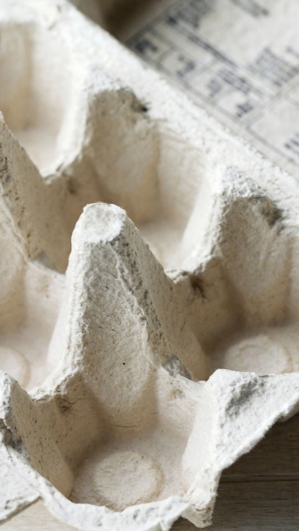 Alte Eierkartons sollte mach nicht wiederverwenden.