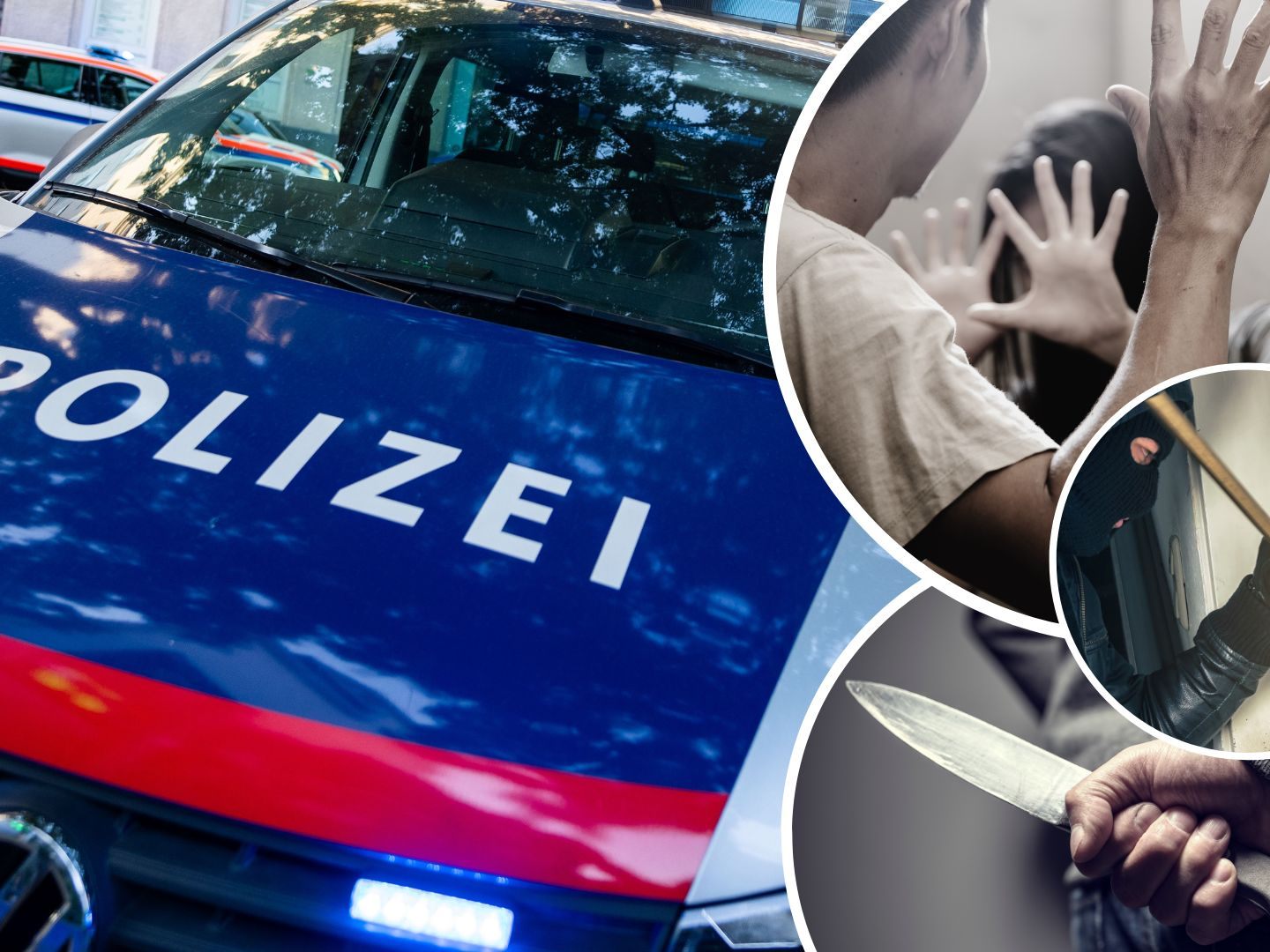 Die Anzahl der Anzeigen in Wien ist um fast elf Prozent gestiegen.