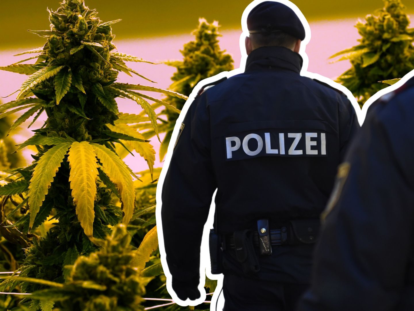 Der Straßenverkaufswert der Drogen betrug 450.000 Euro. Der Straßenverkaufswert der Drogen betrug 450.000 Euro.