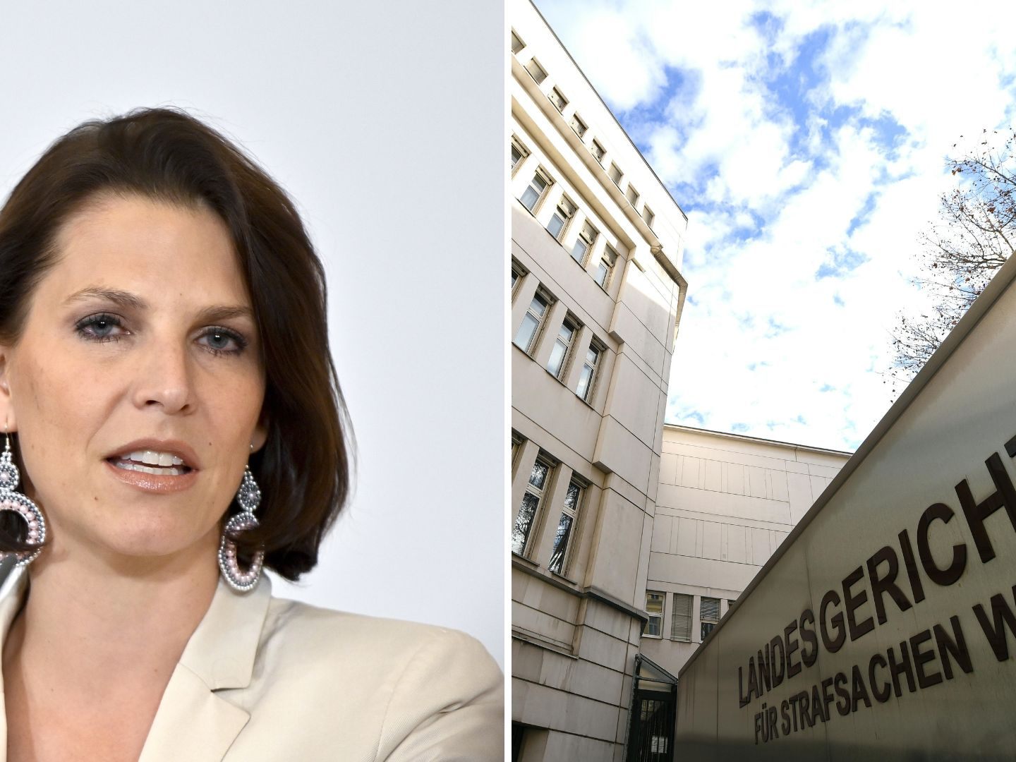 Für einen Einbruch in die Wiener Wohnung von Edtstadler wurde am Mittwoch ein Mann zu vier Jahren unbedingter Haft verurteilt. Für einen Einbruch in die Wiener Wohnung von Edtstadler wurde am Mittwoch ein Mann zu vier Jahren unbedingter Haft verurteilt.