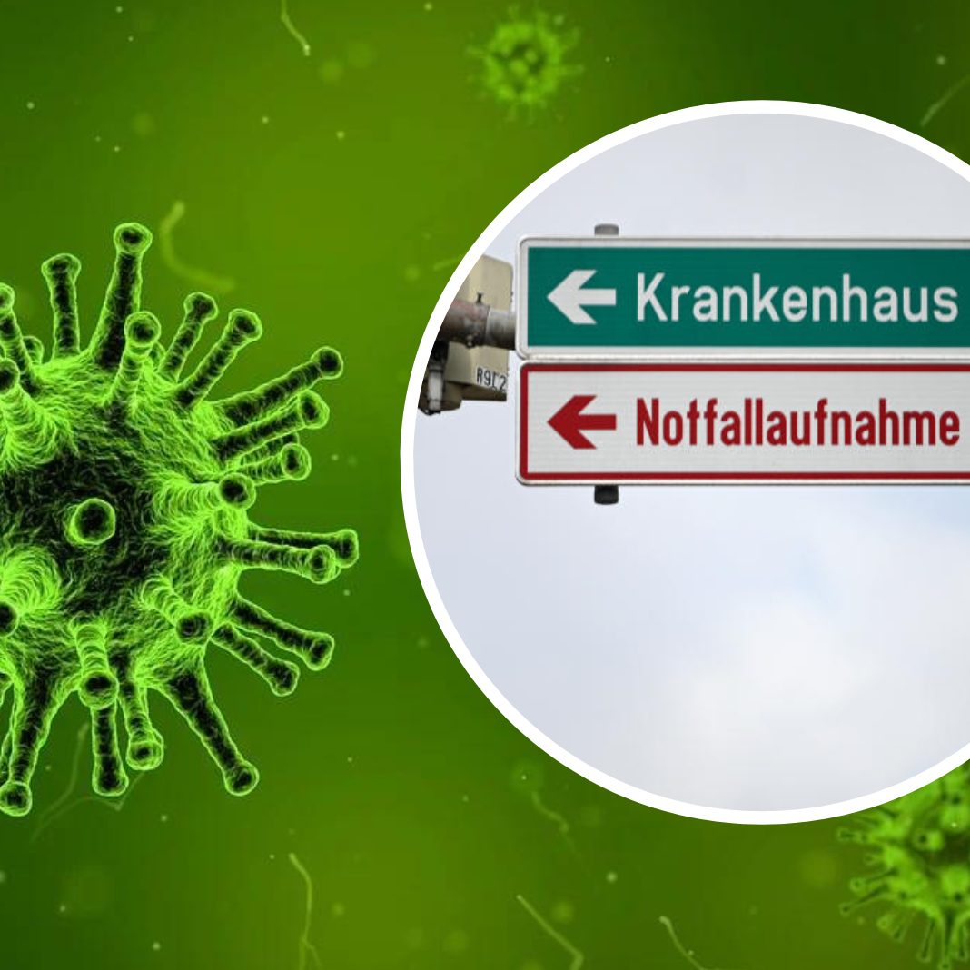 28 Prozent der heurigen Masernfälle wurden hospitalisiert.