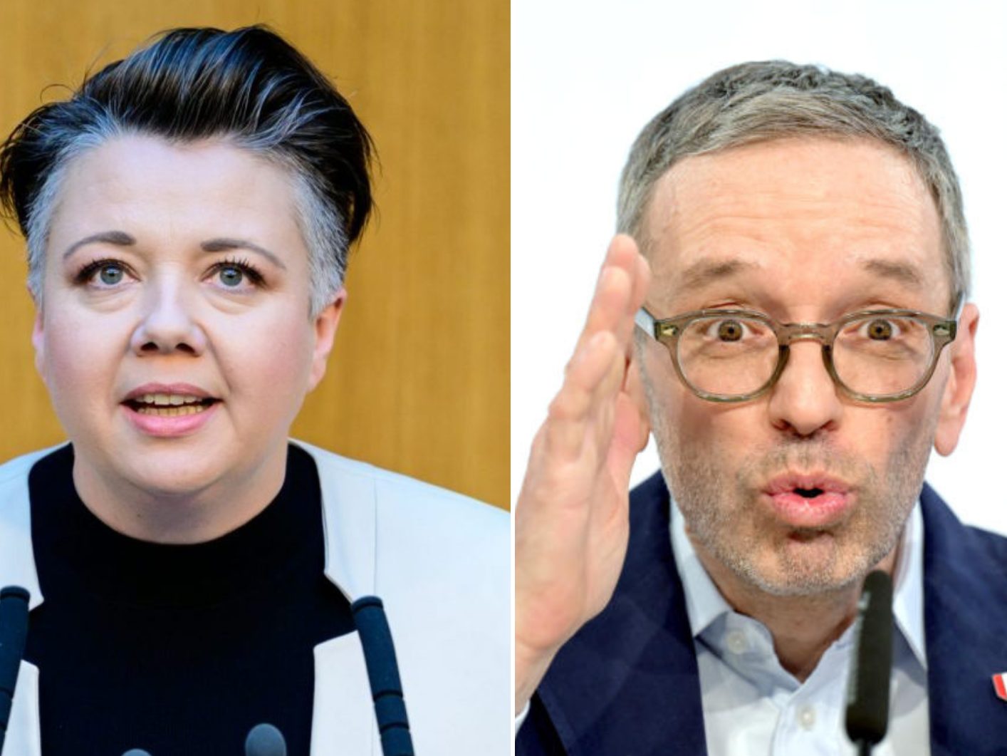 Voglauer: "Diese Gewalt trägt Herbert Kickls Handschrift."