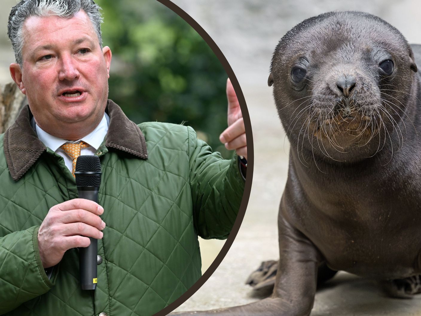 Tiergarte-Direktor Stephan Hering-Hagenbeck berichtet, dass eine Ausnahme für bestimmte Waffen bewilligt wurde.
