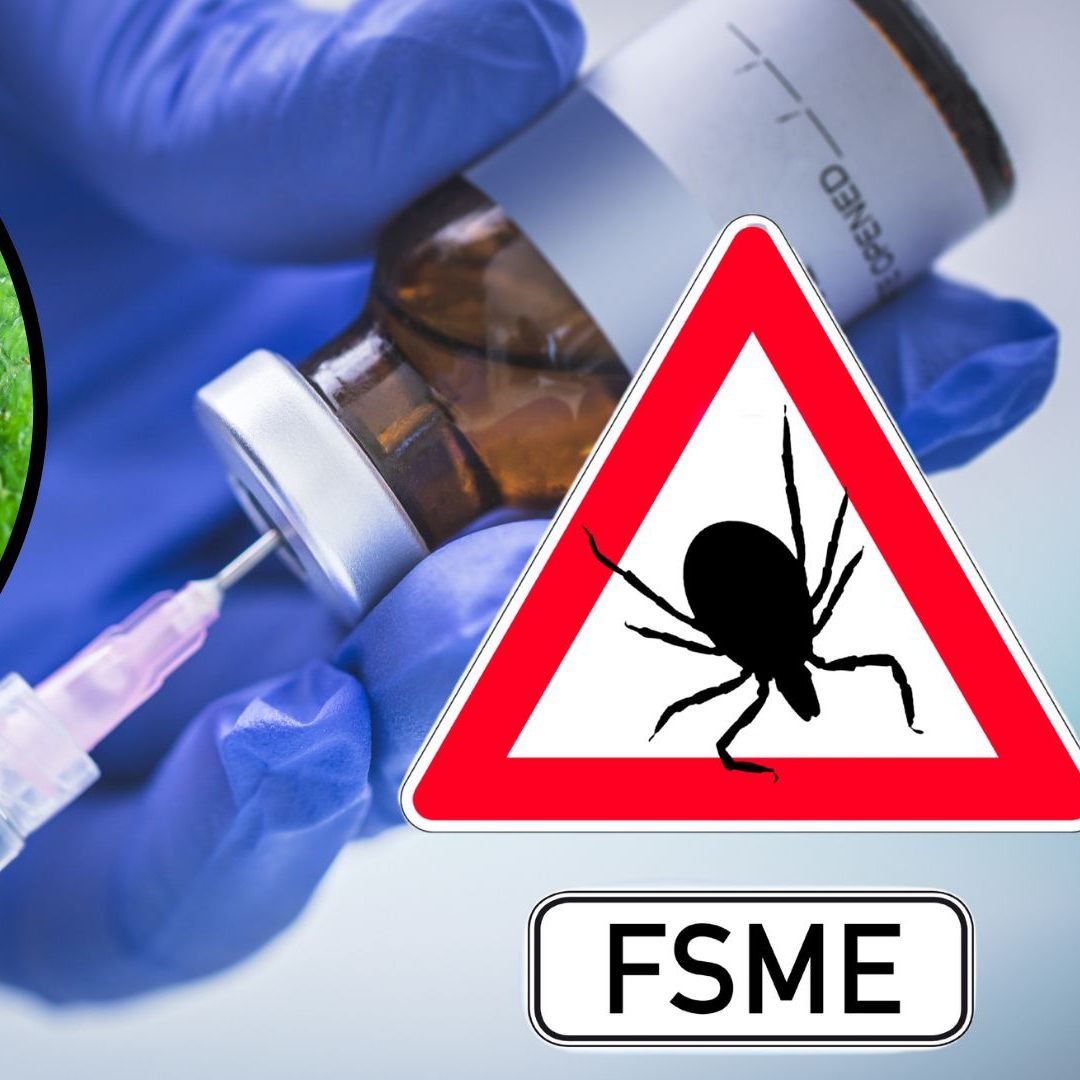 Vor der FSME-Auffrischungsimpfung sollte eine "Titer"-Bestimmung gemacht werden.