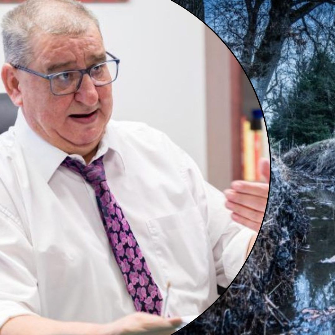 Die Leiche der 30-Jährigen wurde in einem Graven im Lustenauer Ried abgelegt.