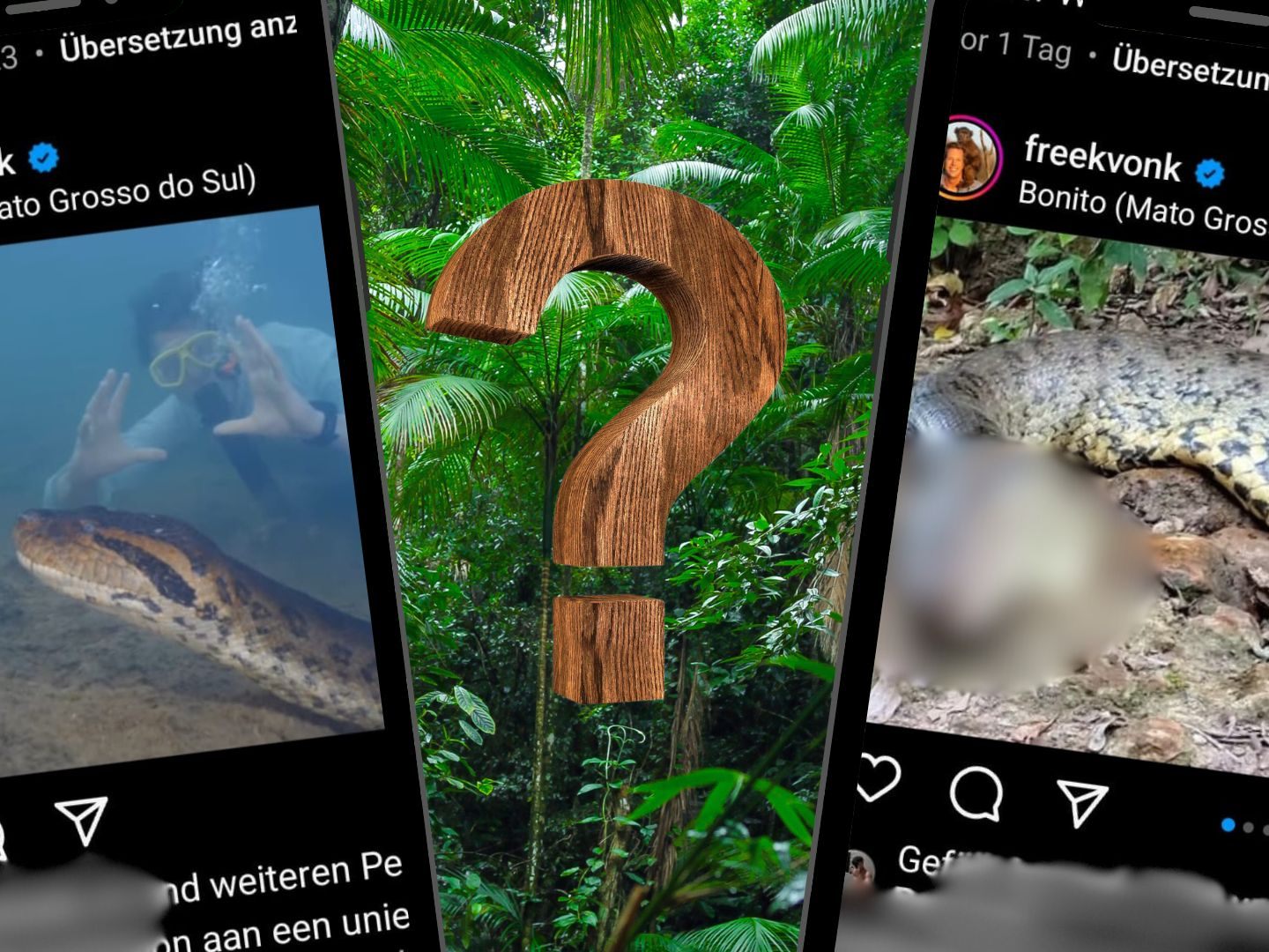 Dunkle Vermutungen um den Tod der größten Schlange.