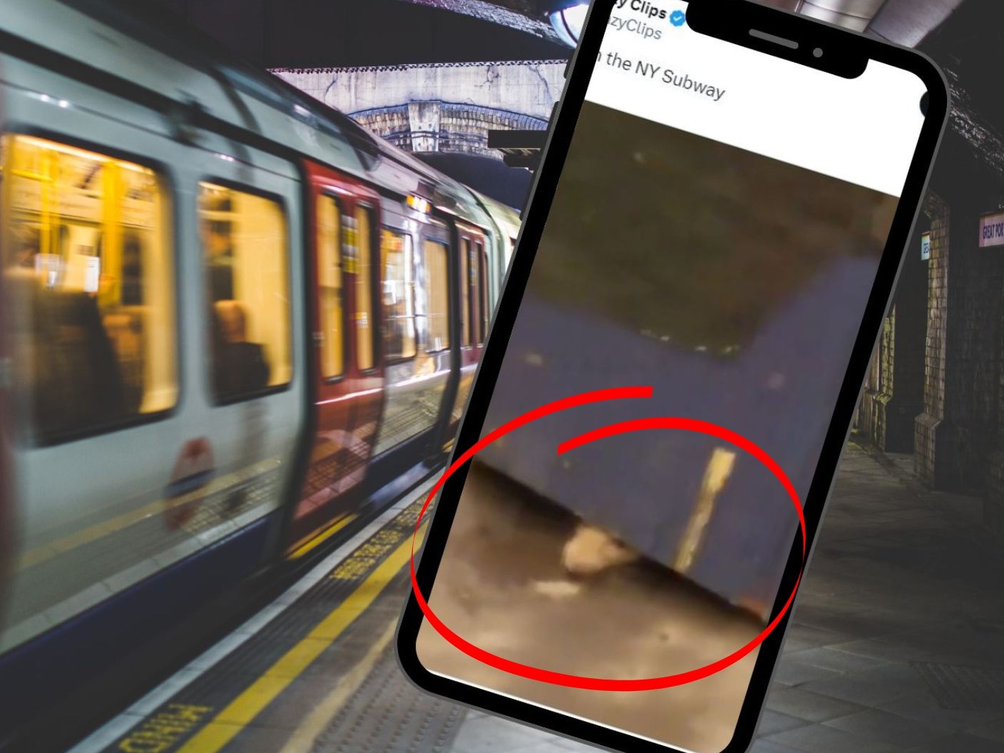 Eine vermeintliche New Yorker Riesen-Ratte sorgt im Netz für Aufsehen.