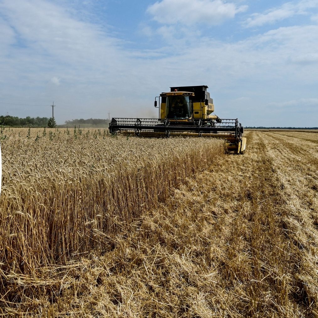 Das EU-Parlament hat sich mit den EU-Ländern drauf geeinigt, bestimmte Agrarprodukte aus der Ukraine in großen Mengen zu verzollen.