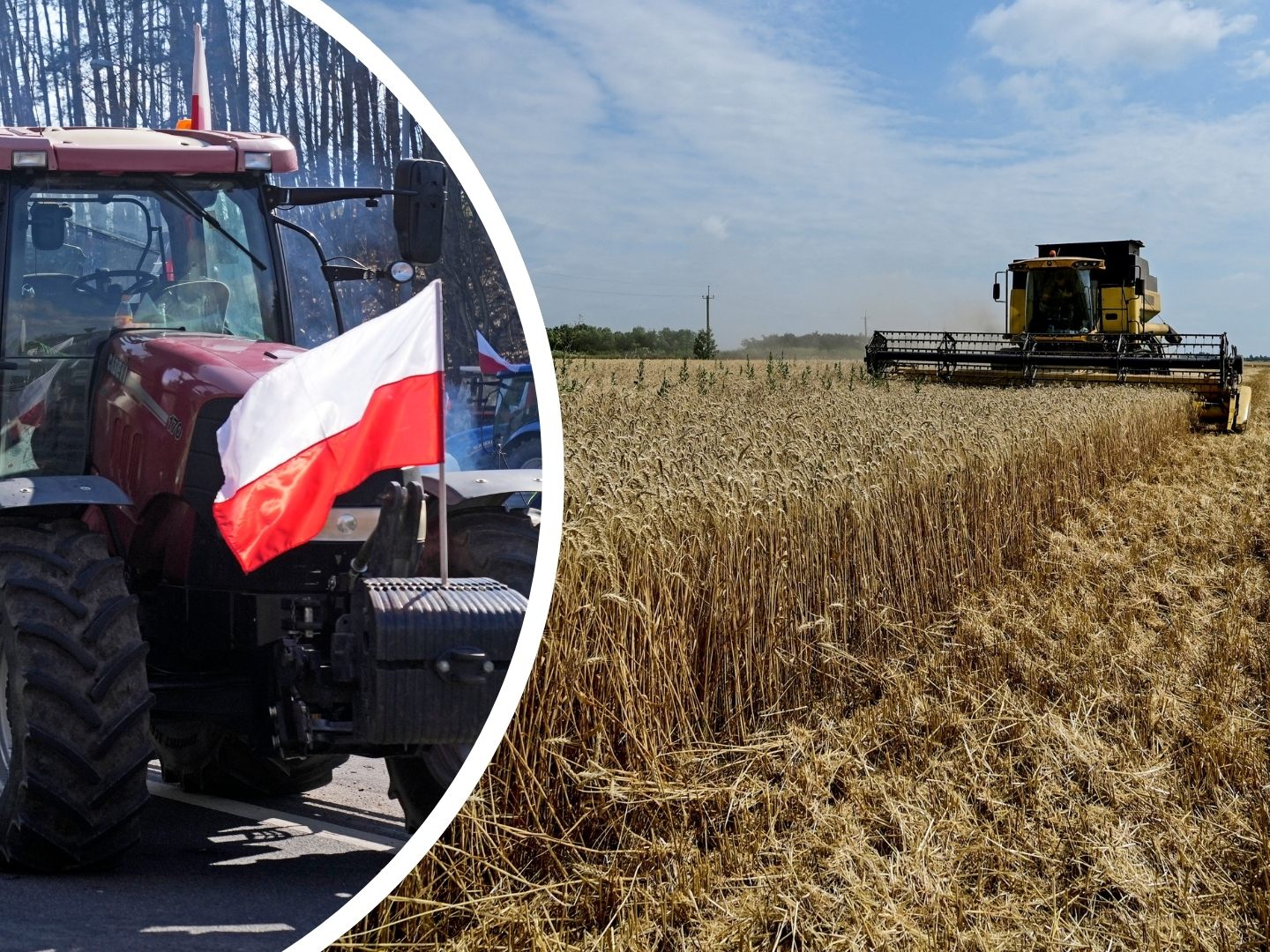 Das EU-Parlament hat sich mit den EU-Ländern drauf geeinigt, bestimmte Agrarprodukte aus der Ukraine in großen Mengen zu verzollen. Das EU-Parlament hat sich mit den EU-Ländern drauf geeinigt, bestimmte Agrarprodukte aus der Ukraine in großen Mengen zu verzollen.