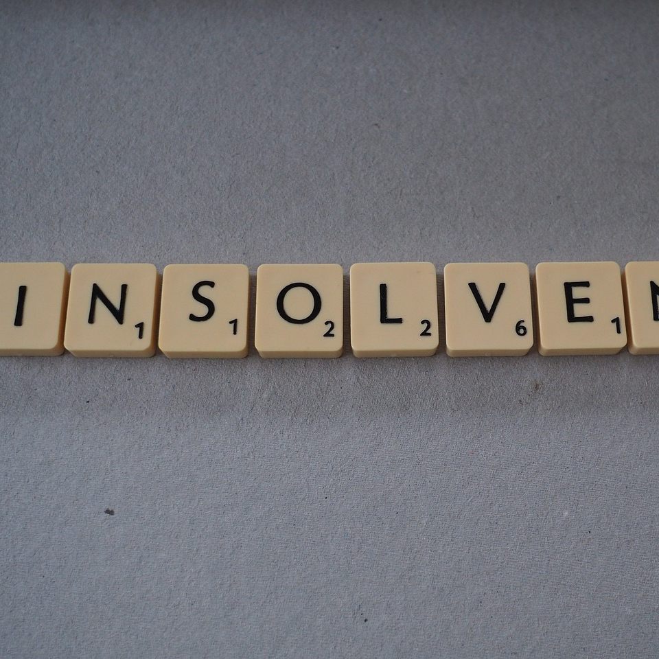 Der Großhändler Bushplanet ist insolvent.