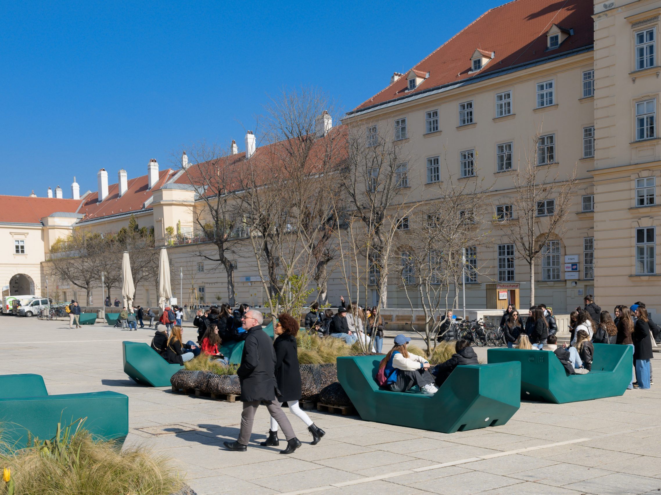 Die Enzis erstrahlen 2024 in der Farbe "Immergrüne Tann-ja".