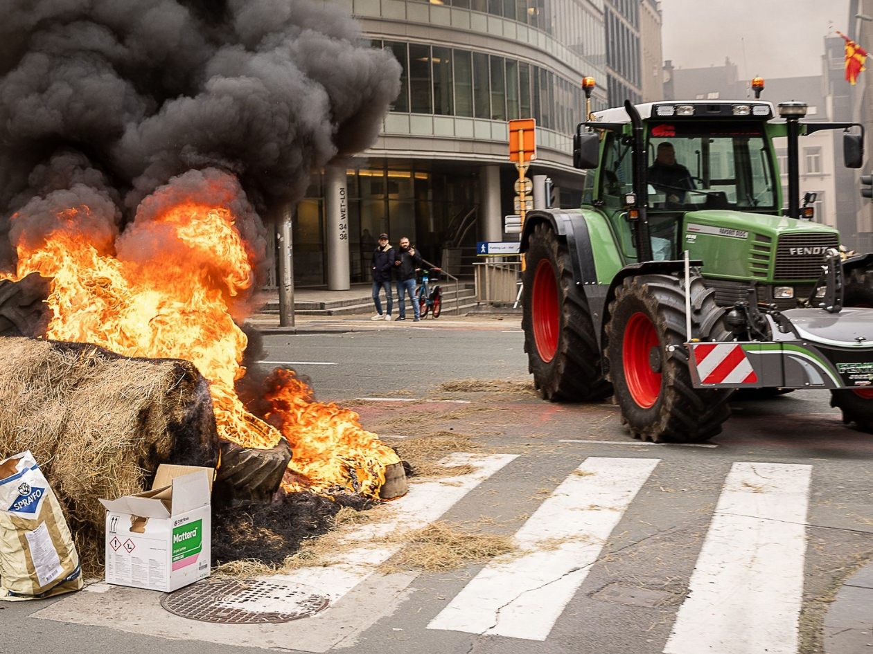Bei den Bauernprotesten in Brüssel kam es zu bizarren Szenen. Bei den Bauernprotesten in Brüssel kam es zu bizarren Szenen.