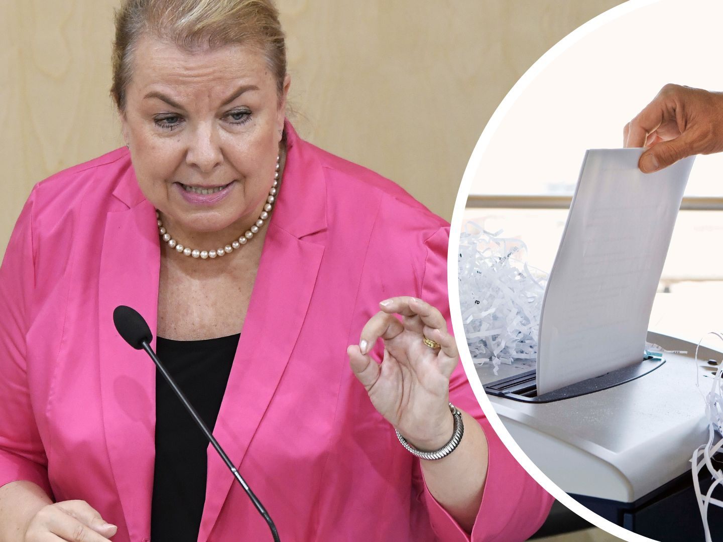 Vor der Übergabe der Akten an das Staatsarchiv soll Ex-FPÖ-Gesundheitsministerin diese vernichtet haben. Vor der Übergabe der Akten an das Staatsarchiv soll Ex-FPÖ-Gesundheitsministerin diese vernichtet haben.