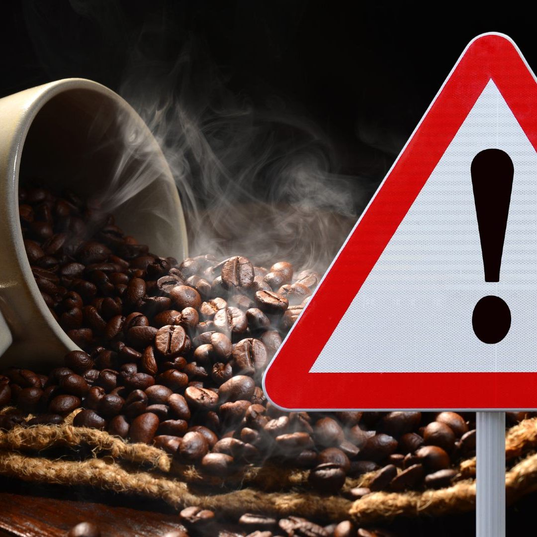 Branche kritisiert EU-Regelung für "entwaldungsfreie Lieferketten"