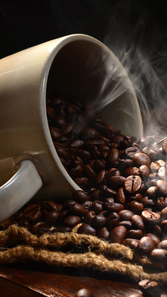 Branche kritisiert EU-Regelung für "entwaldungsfreie Lieferketten"