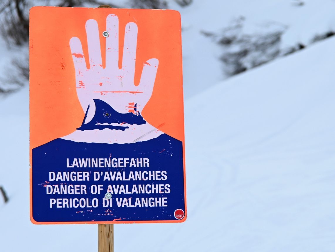 Im Rahmen der Sicherheitssuche wurden eine Hundestaffel eingesetzt.