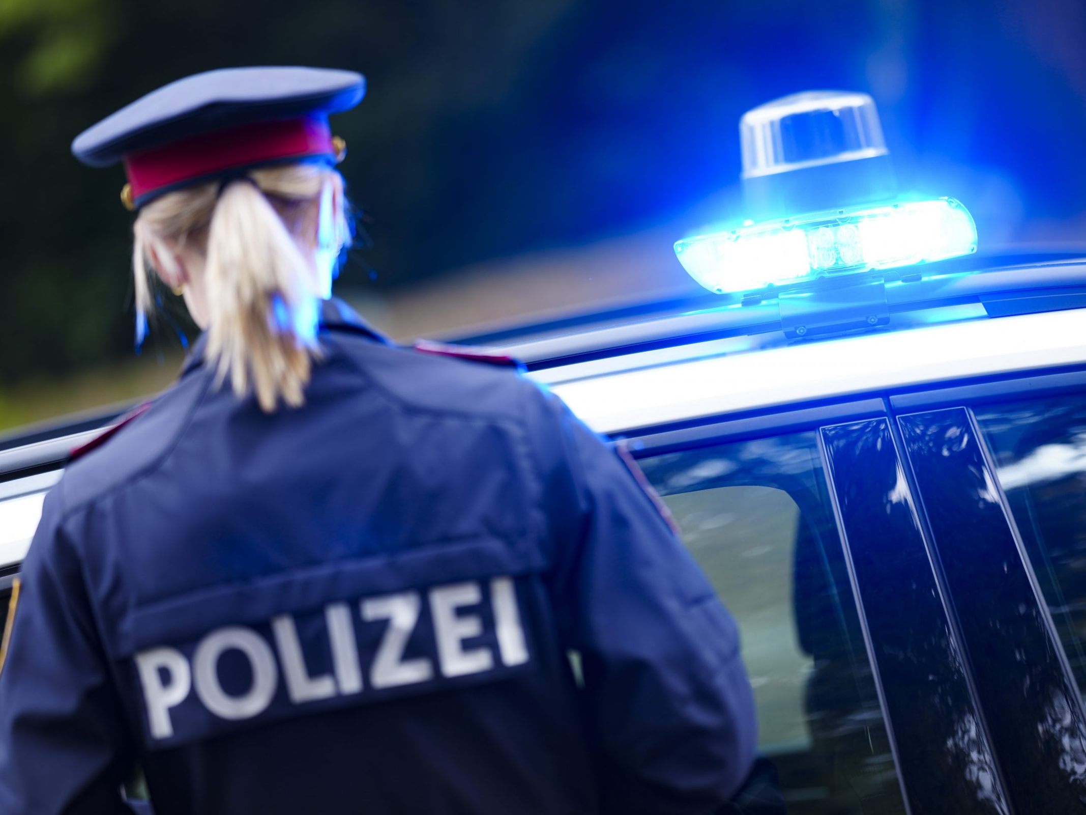 Das Trio in Wien konnte nun gefasst werden.