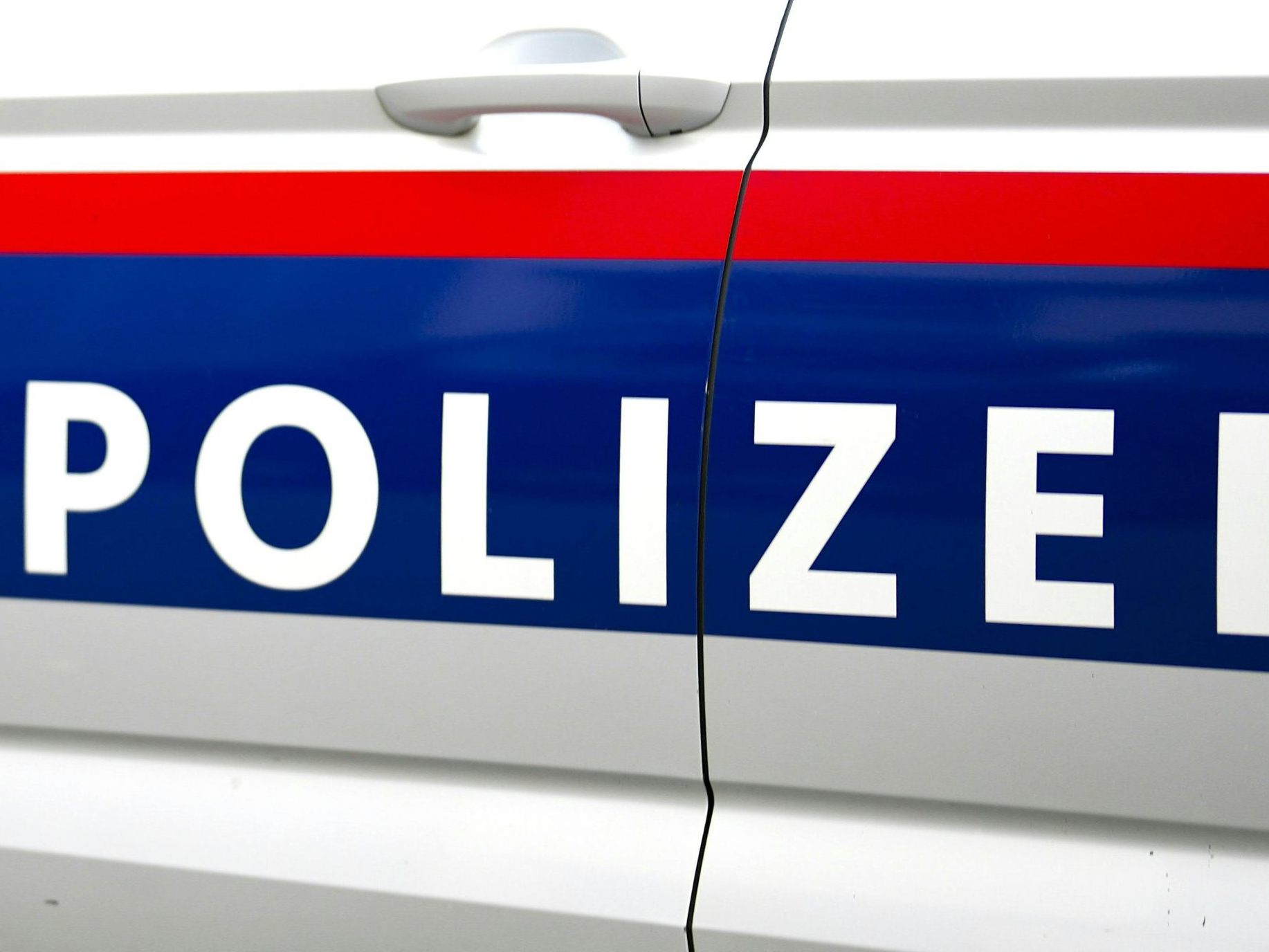 In Wien-Wieden gingen der Polizei zwei mutmaßliche Einbrecher ins Netz. In Wien-Wieden gingen der Polizei zwei mutmaßliche Einbrecher ins Netz.