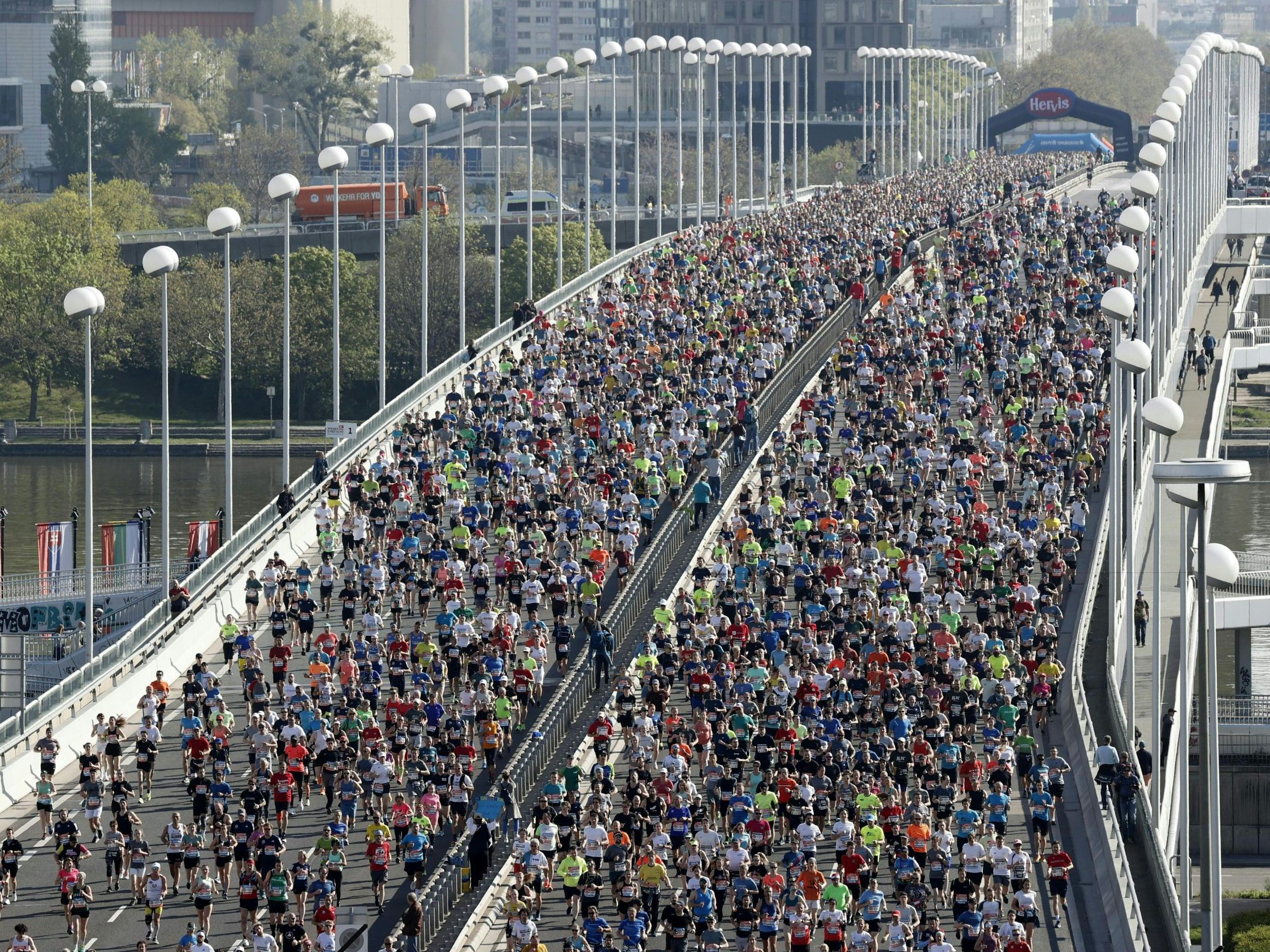 Auch in diesem Jahr führt die Strecke des Wien-Marathons über die Reichsbrücke.