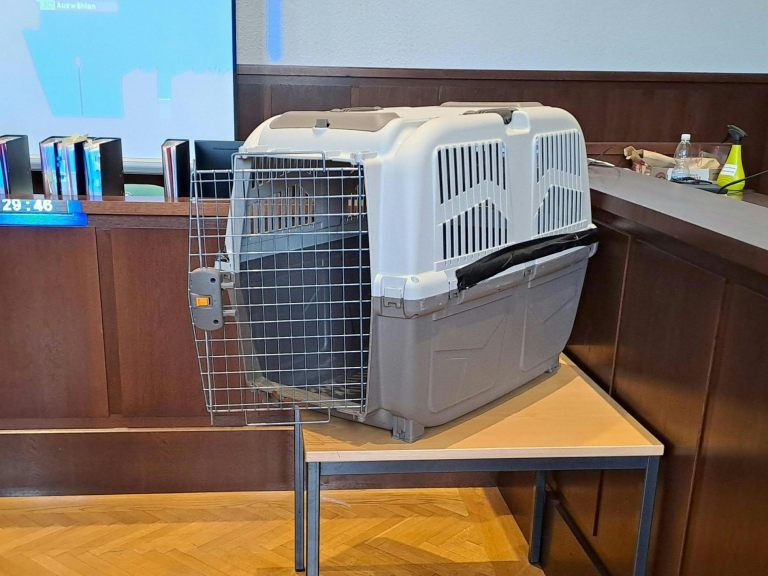 Die Mutter quälte ihr Kind und sperrte es in eine Hundebox. Die Mutter quälte ihr Kind und sperrte es in eine Hundebox.