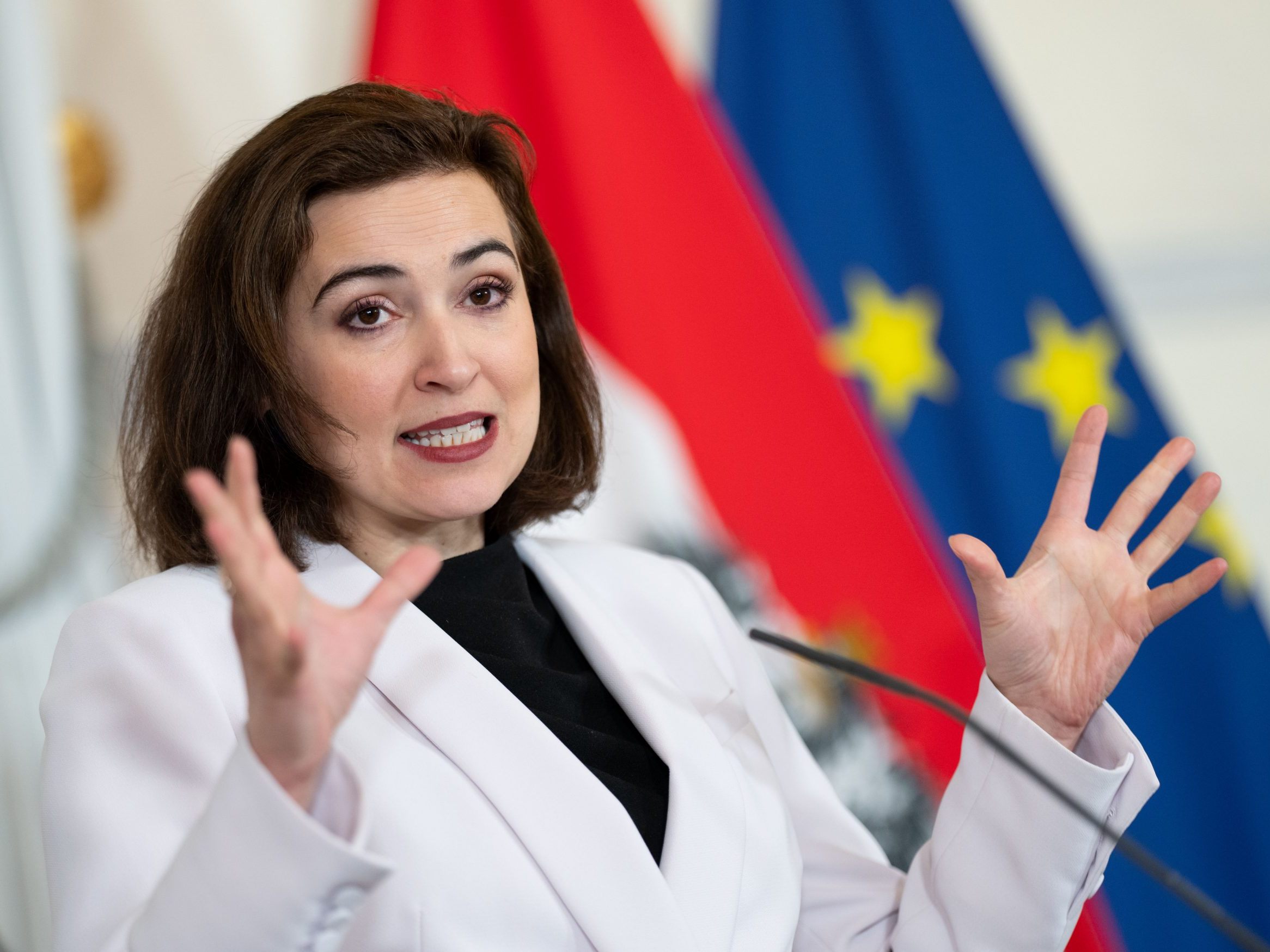 Zadić wird Spitzenkandidatin der Grünen in Wien.