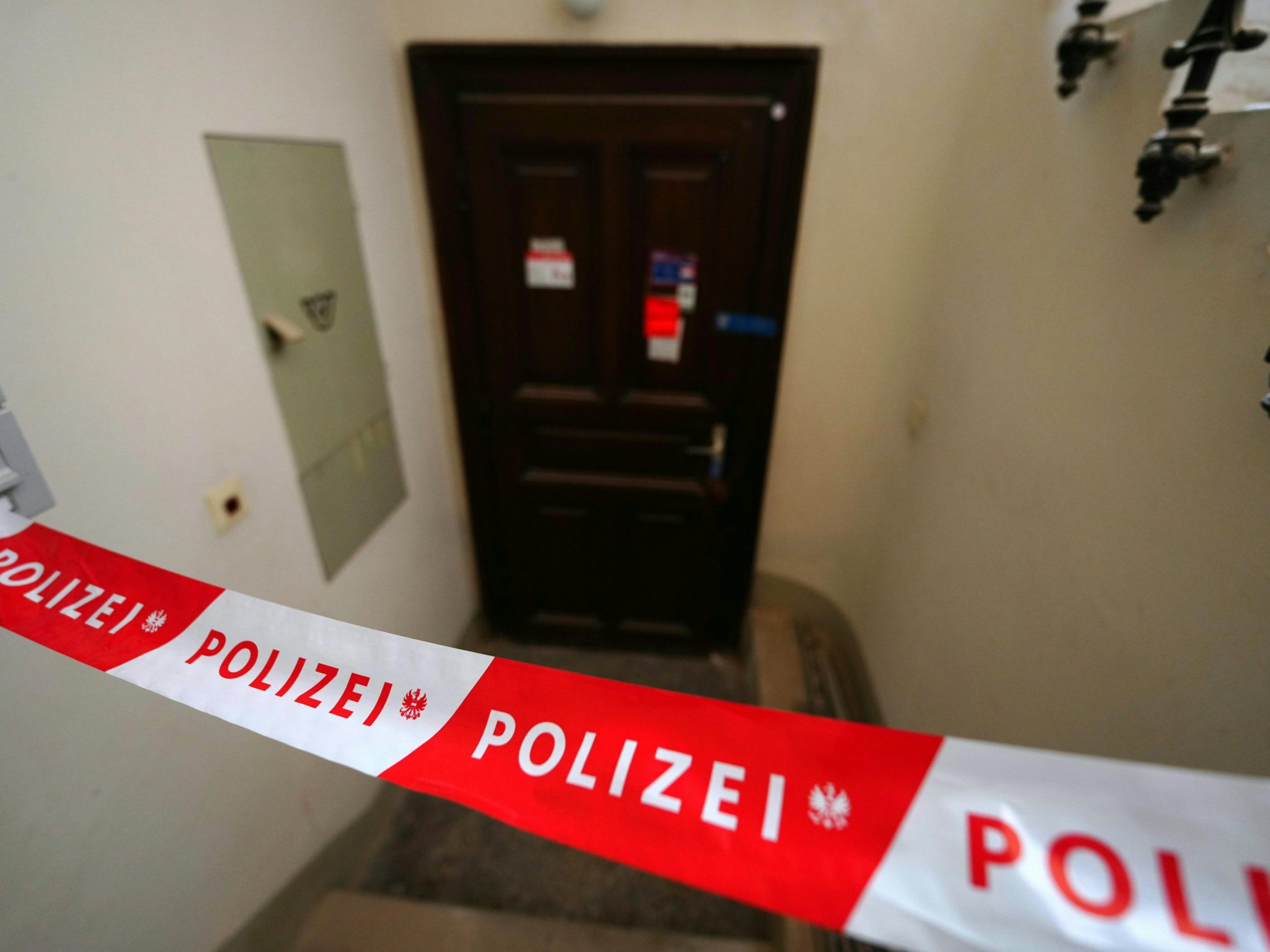 In Wien ist diese Woche eine kopflose Leiche entdeckt worden. In Wien ist diese Woche eine kopflose Leiche entdeckt worden.