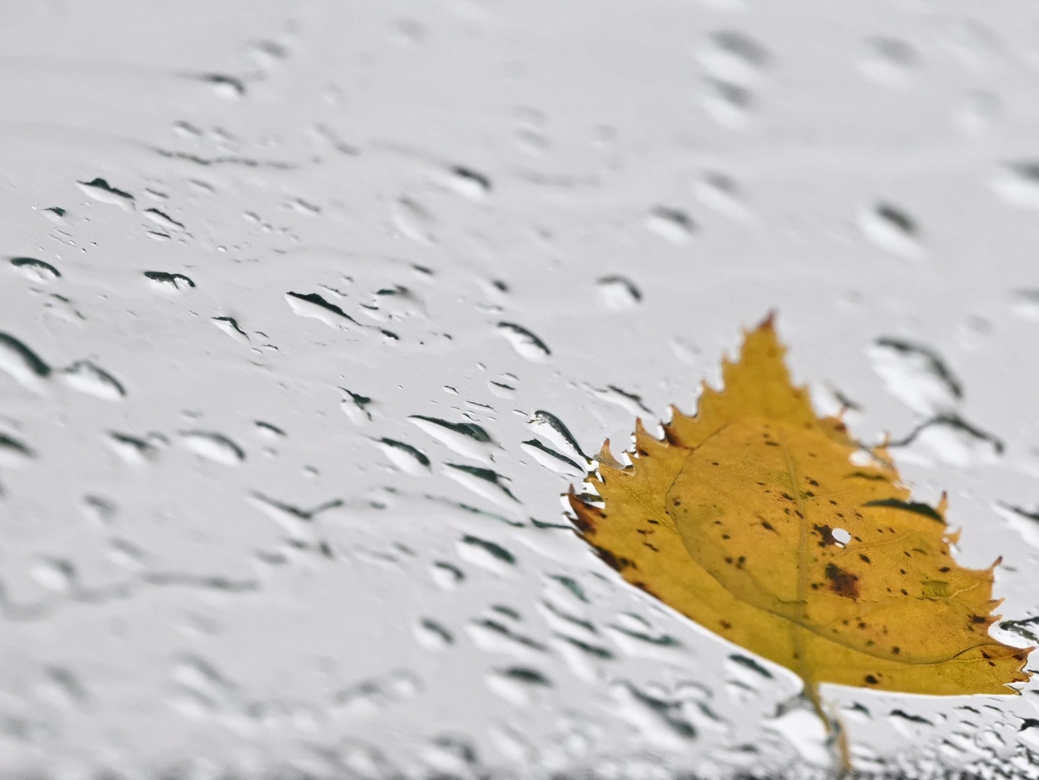 Die Kaltfront im April ist nur Klima-Randnotiz. Die Kaltfront im April ist nur Klima-Randnotiz.