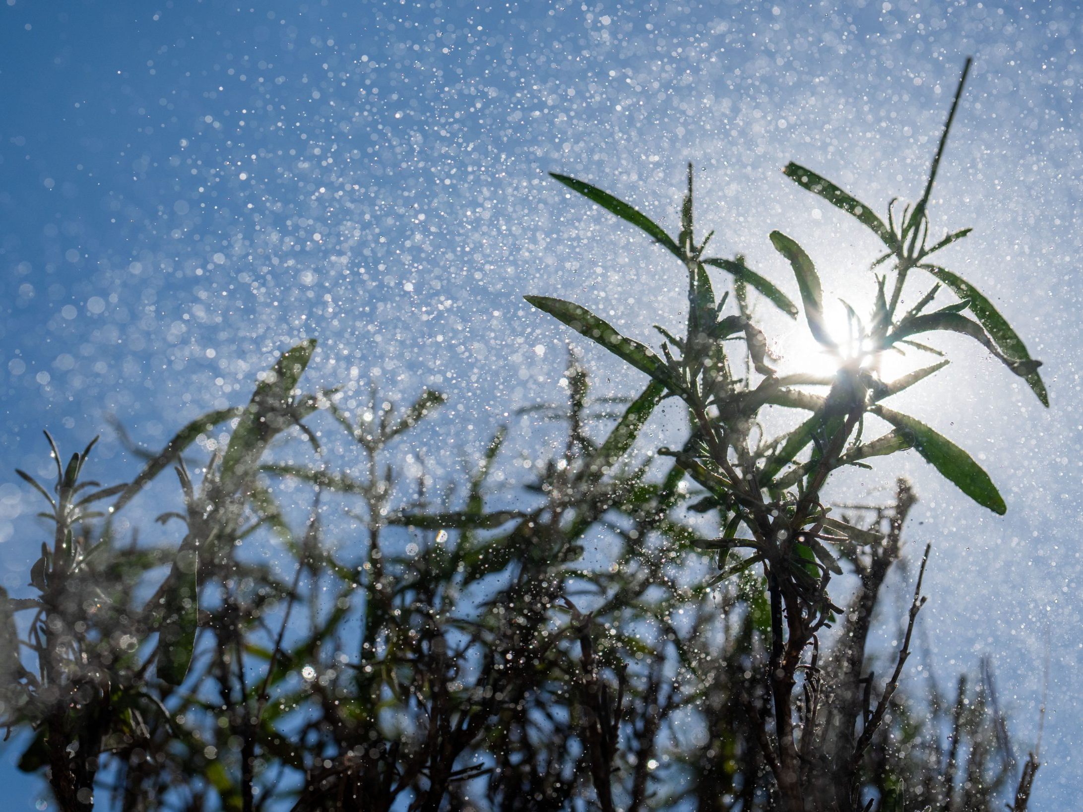 Warme Temperaturen am Samstag.