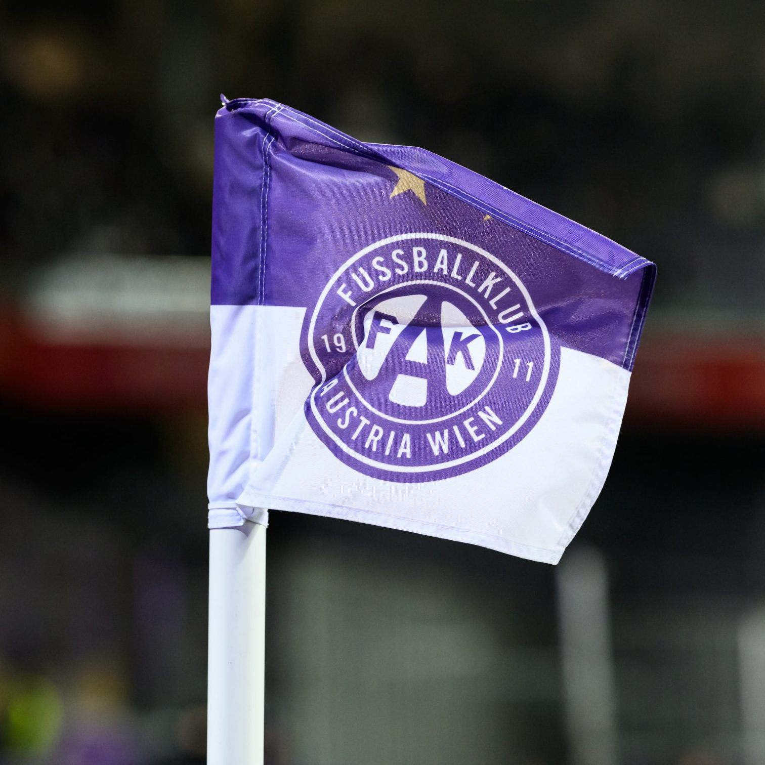 Dieses Jahr hat die Wiener Austria die Bundesliga-Lizenz schon im ersten Anlauf bekommen.