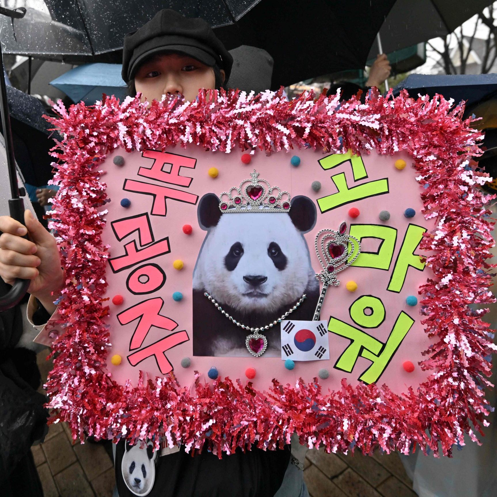 Tausende nahmen Abschied von der Pandabärin.