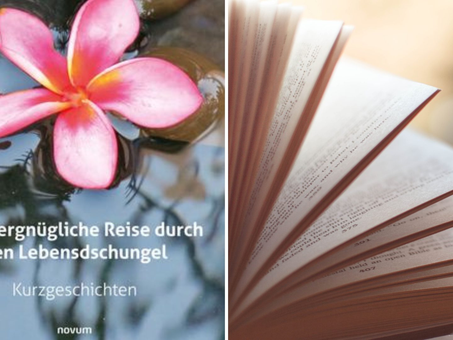 Gewinnt eines von fünf Büchern!