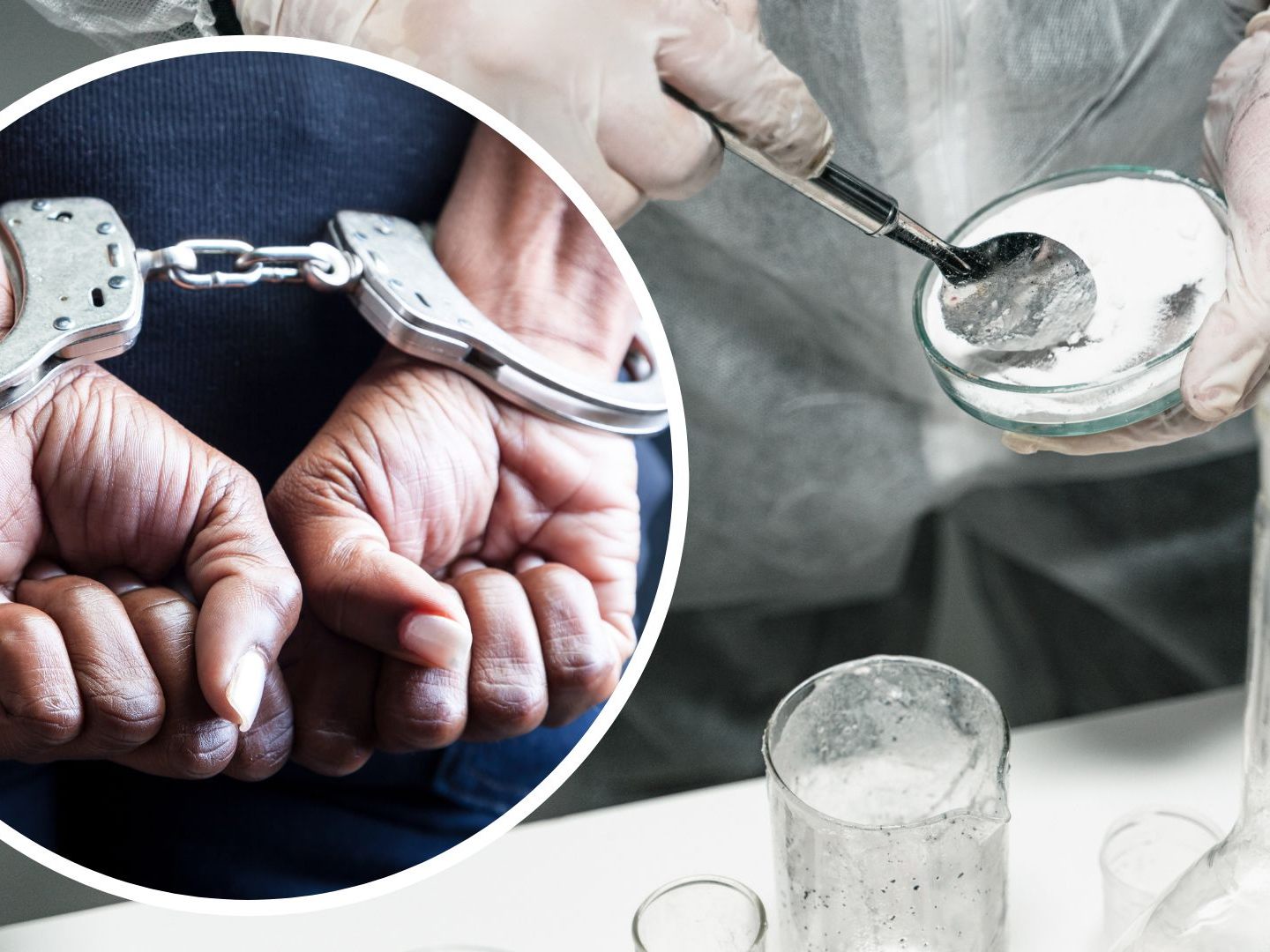 Der Wiener Chemiker wurde in Spanien aufgegriffen und nach Österreich ausgeliefert.