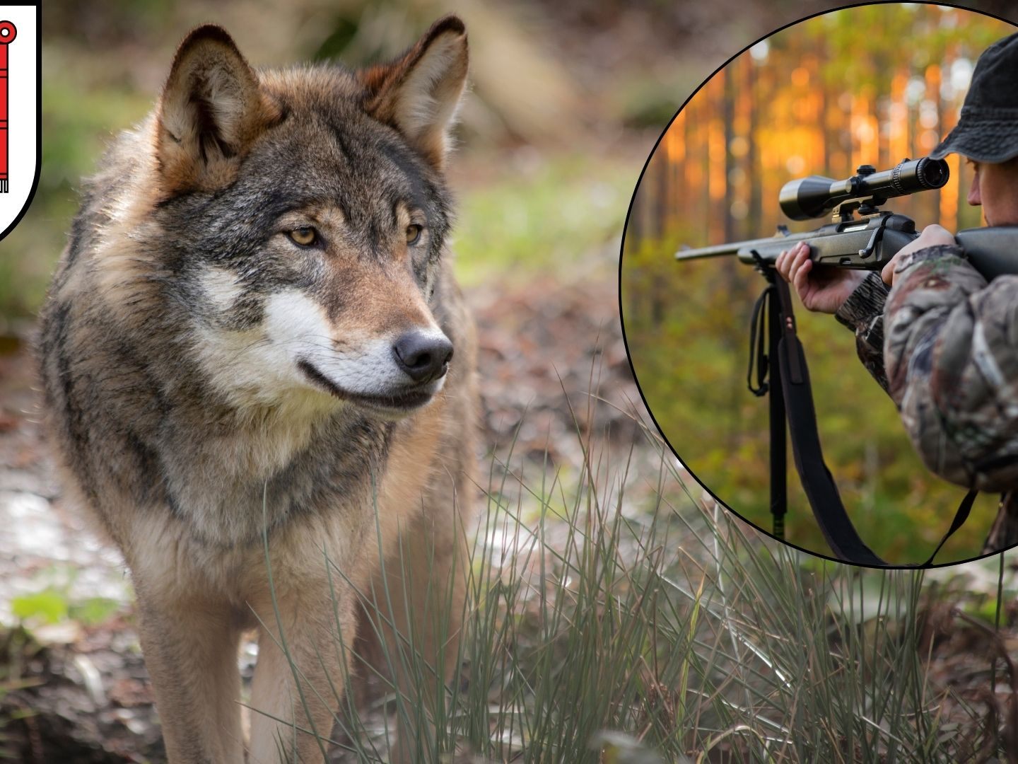Vorarlberg beschließt neue Regeln.